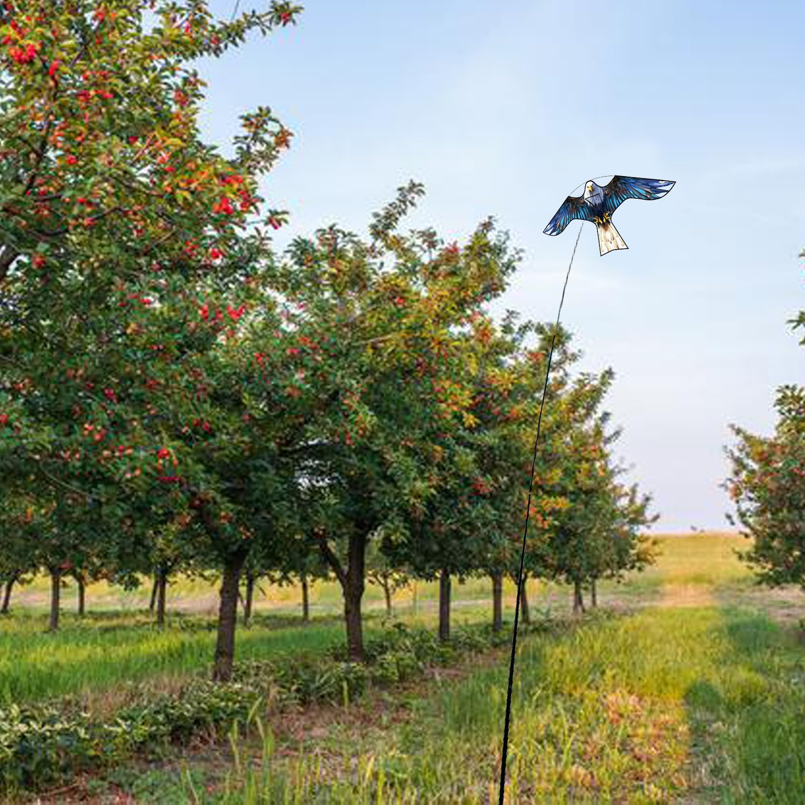 Touch the sky Pájaro Azul Halcón Cometa con 4 Metros Telescópico Poste. Adecuado para Jardín y Granja y Campo para Control de Aves y Protección Cultivos, Fácil de Instalar, Seguro y Eficaz.
