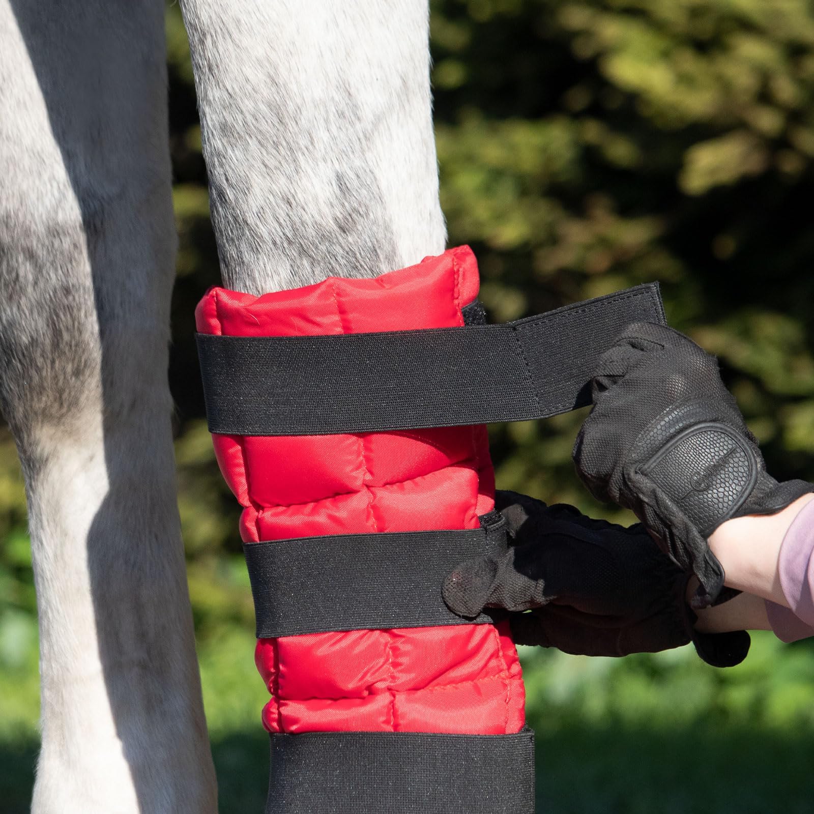 Harrison Howard Bota de hielo para caballo-rojo