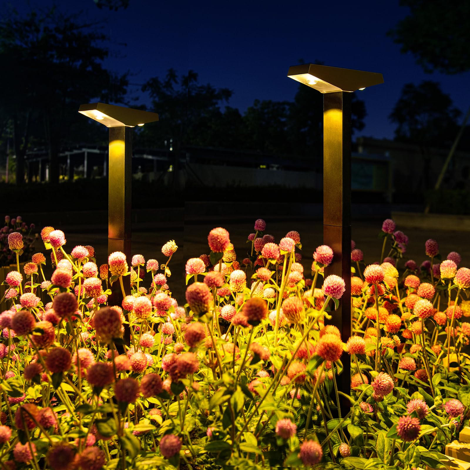 Anern Solar Pathway Lights Outdoor 2 Pack Driveway Lights with Larger Solar Panel Auto On Off up to