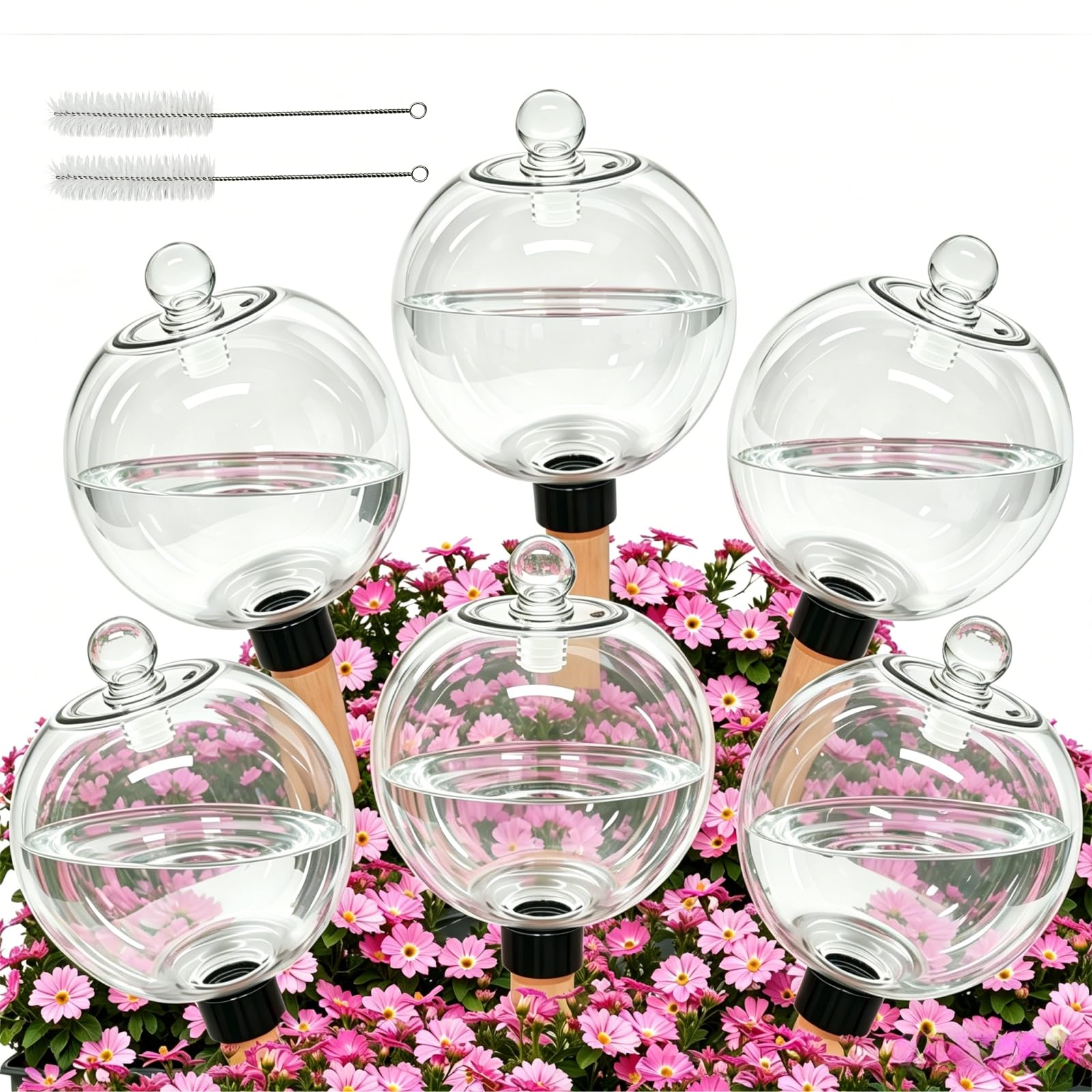 Photo 1 of 6 Pack 26 oz Extra Large Self Watering Globes with 2 Brushes, Top Fill Plastic Water Bulbs with Slow Release Terracotta Planter Insert, Automatic Plant Water Spikes Stakes for Indoor Outdoor Plants