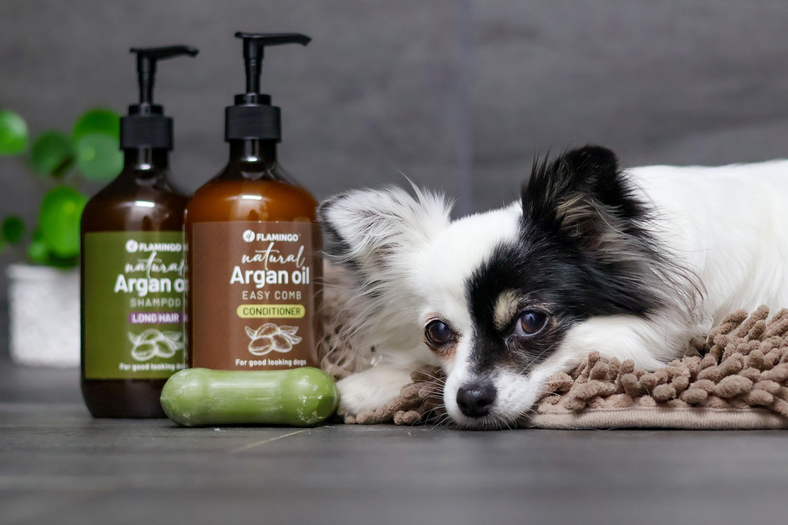 Flamingo Shampooing Naturel pour Chats – 500 ML, Doux, Hydratant, Soins Naturels pour Le Pelage