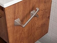 Vista 4 de Pfister Bruxie Portapapel Higiénico, Soporte para Rollo de Papel Higiénico del Baño, Montaje en Pared, Atornillado, Acabado Níquel Cepillado Spot