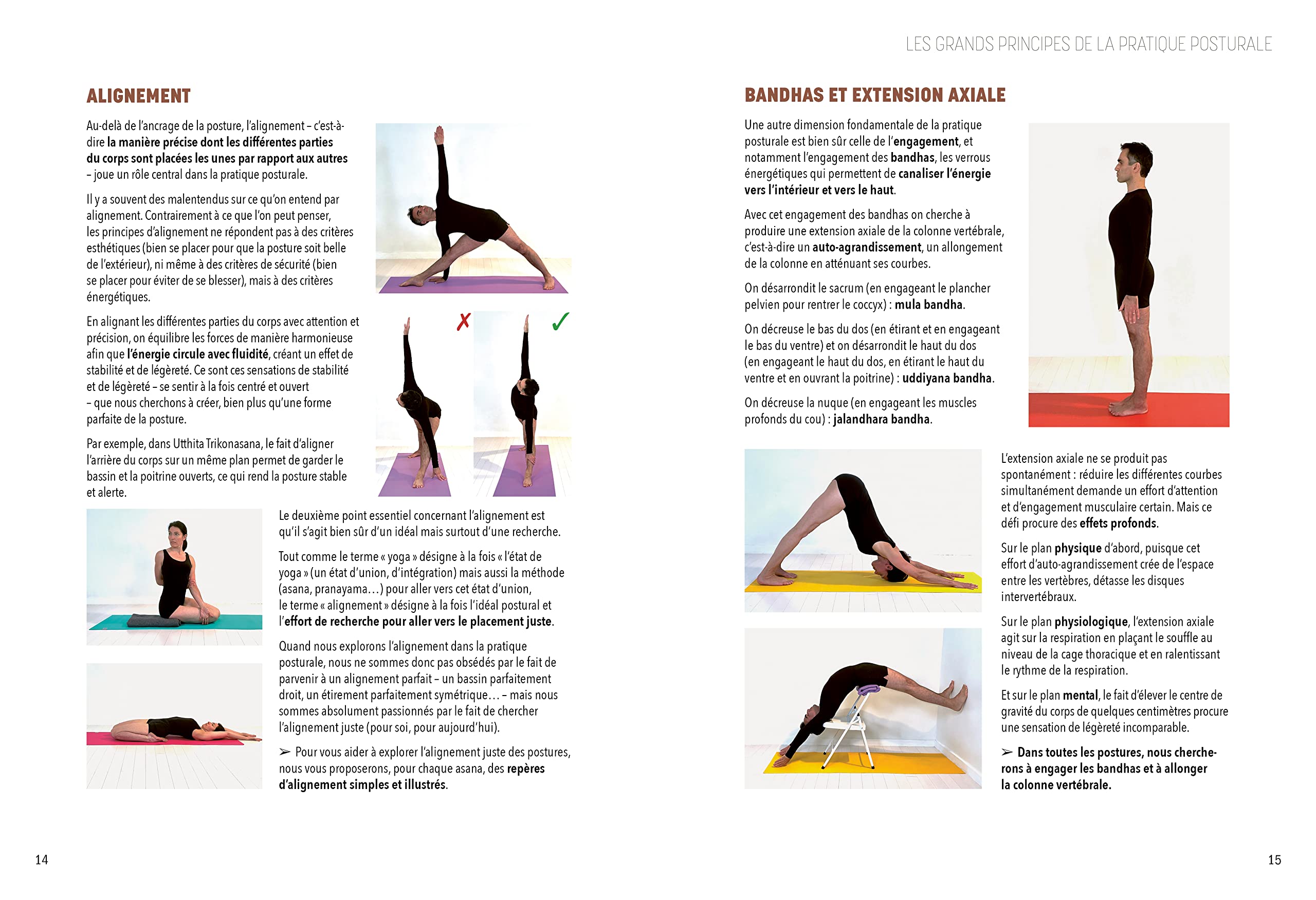 L'encyclopédie du Yoga postural