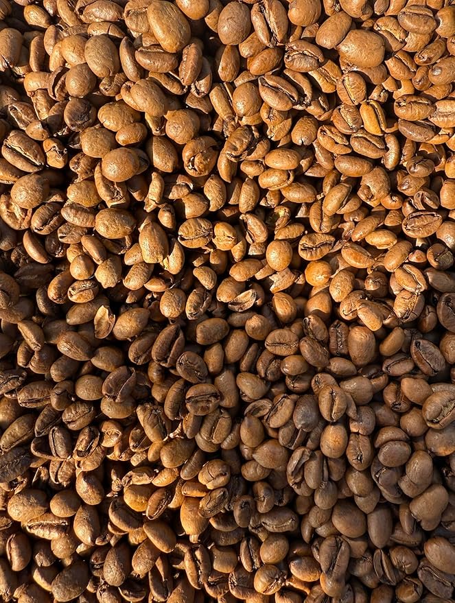 Excelsa Coffee Café en Grano Vietnam Tostado Medio 12 oz miniatura 3