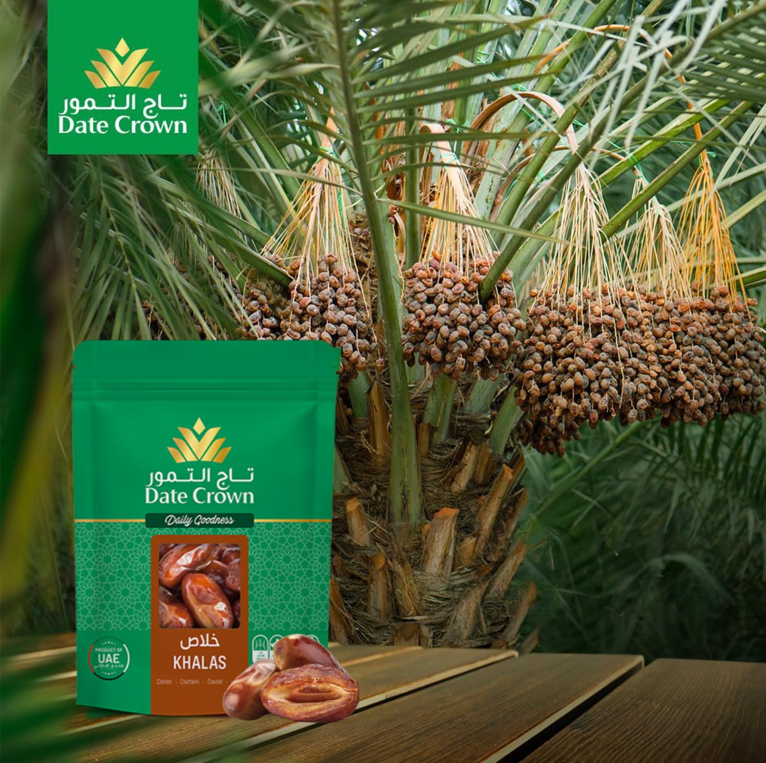 Date Crown Khalas Dates 500G – Premium UAE Dates | 100% Natural