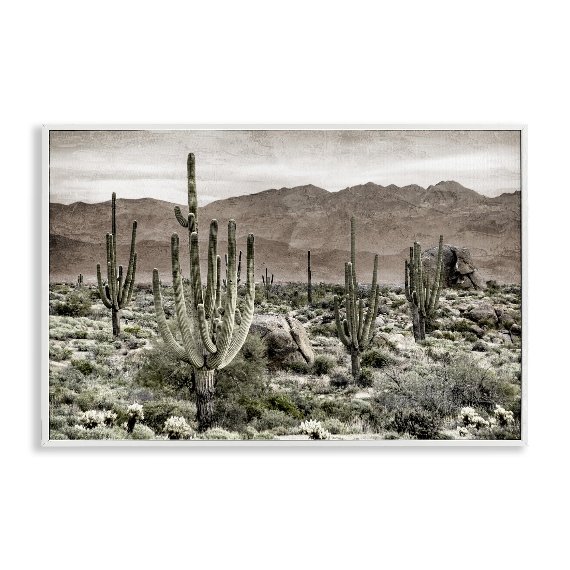 Stupell Industries Coastal White (Textured) Desert Cacti Wilderness Landscape, 16 X 24 Inch Framed Giclée Print