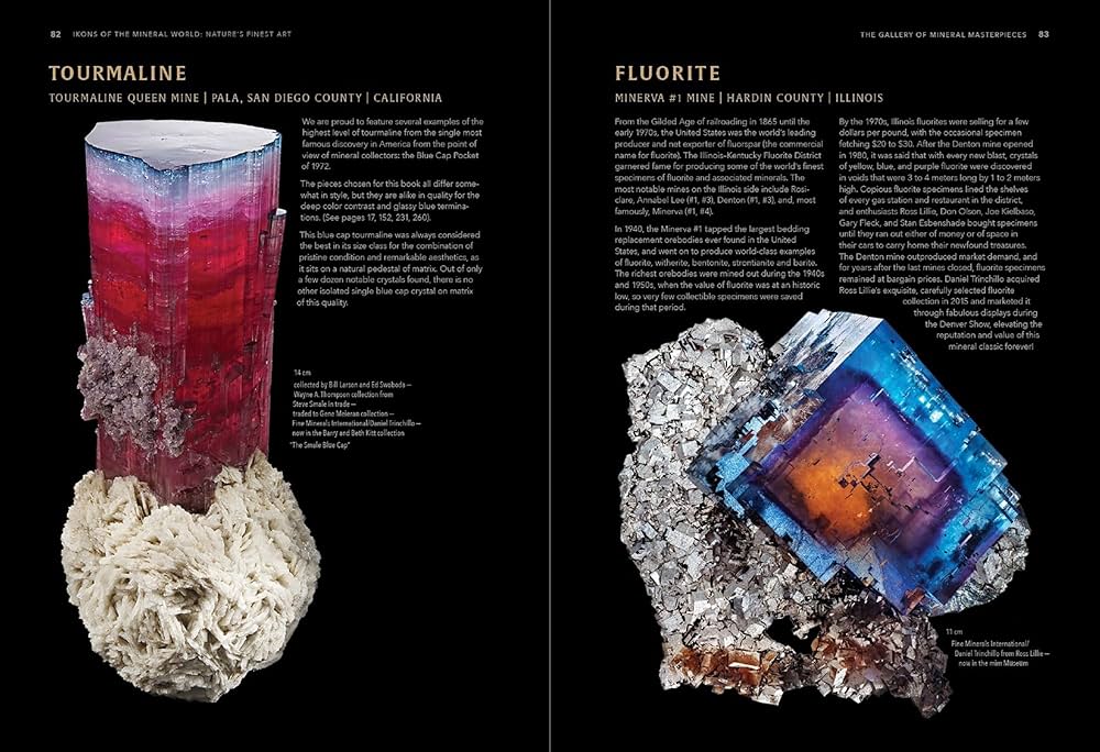 Ikons of the Mineral World: Nature's Finest Art: Wayne A. Thompson