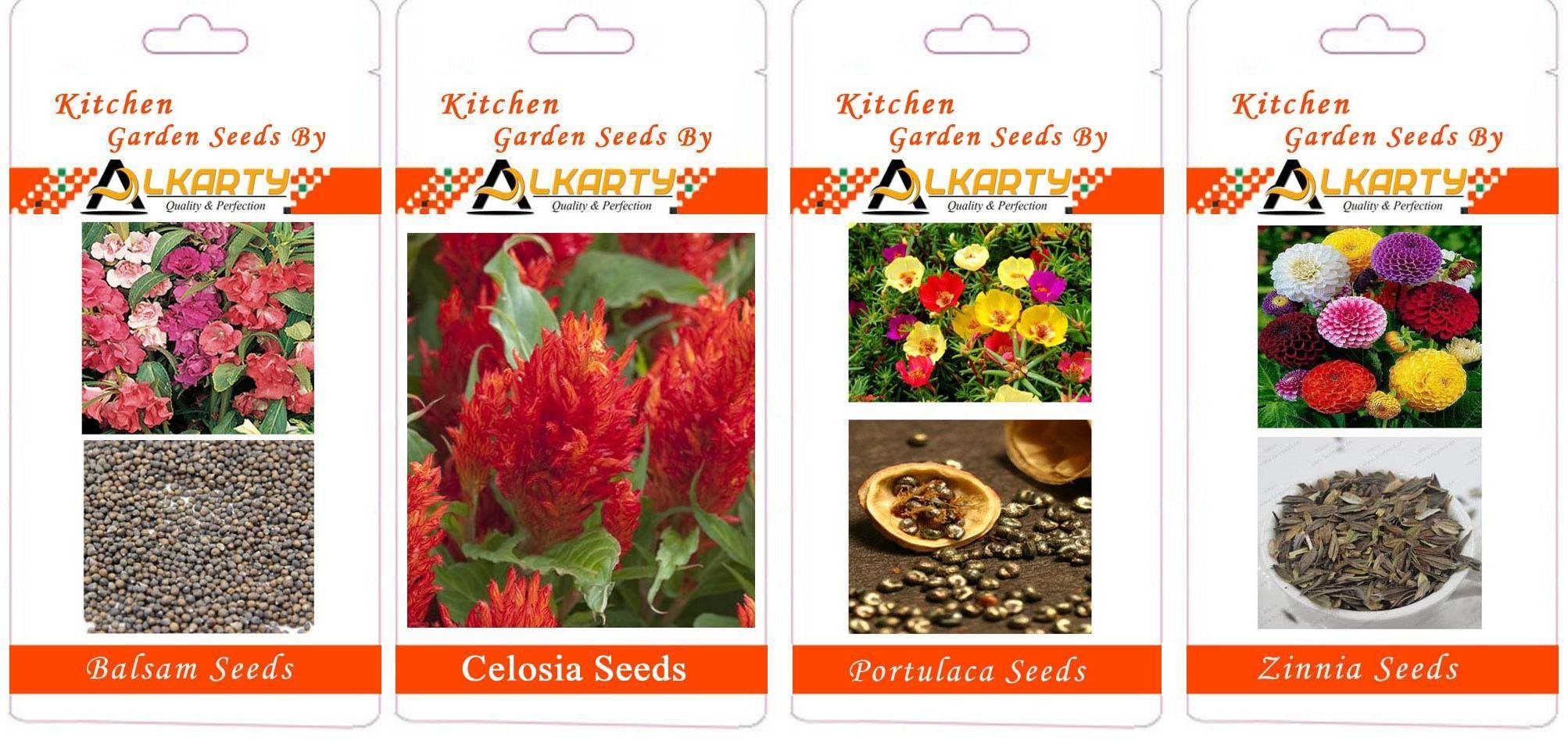 Balsam, Celosia, Portulaca, Zinnia summer flower seeds pack of 20 each-image-46
