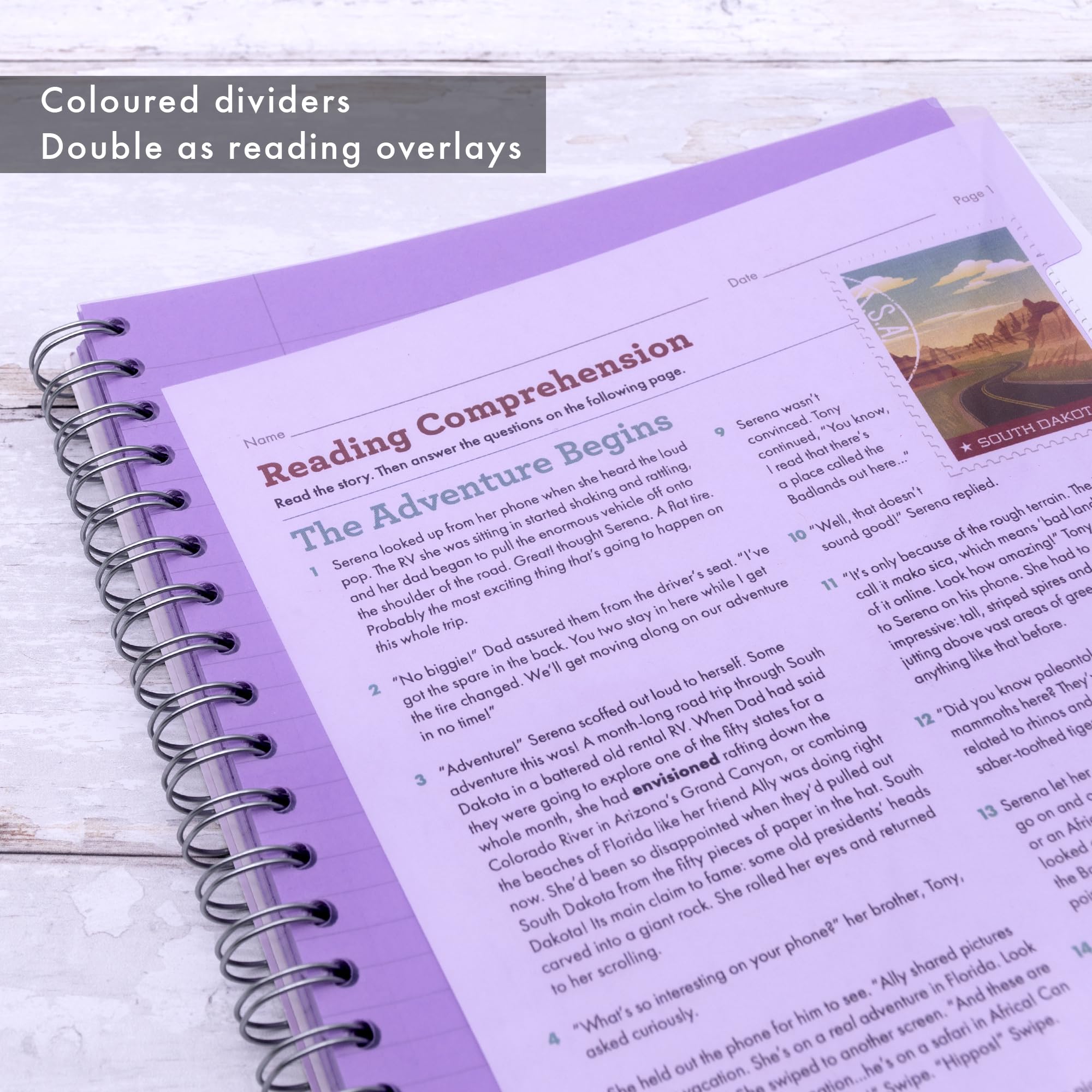 Pukka Pad Irlen - Quaderno per progetti formato A4, confezione da 3, 200 pagine, 100 fogli di carta a righe e colorata 80 g/m² e 5 divisori riposizionabili, progettato per difficoltà di percezione
