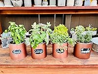 Review Image by Nurse Bex Nurse Bex