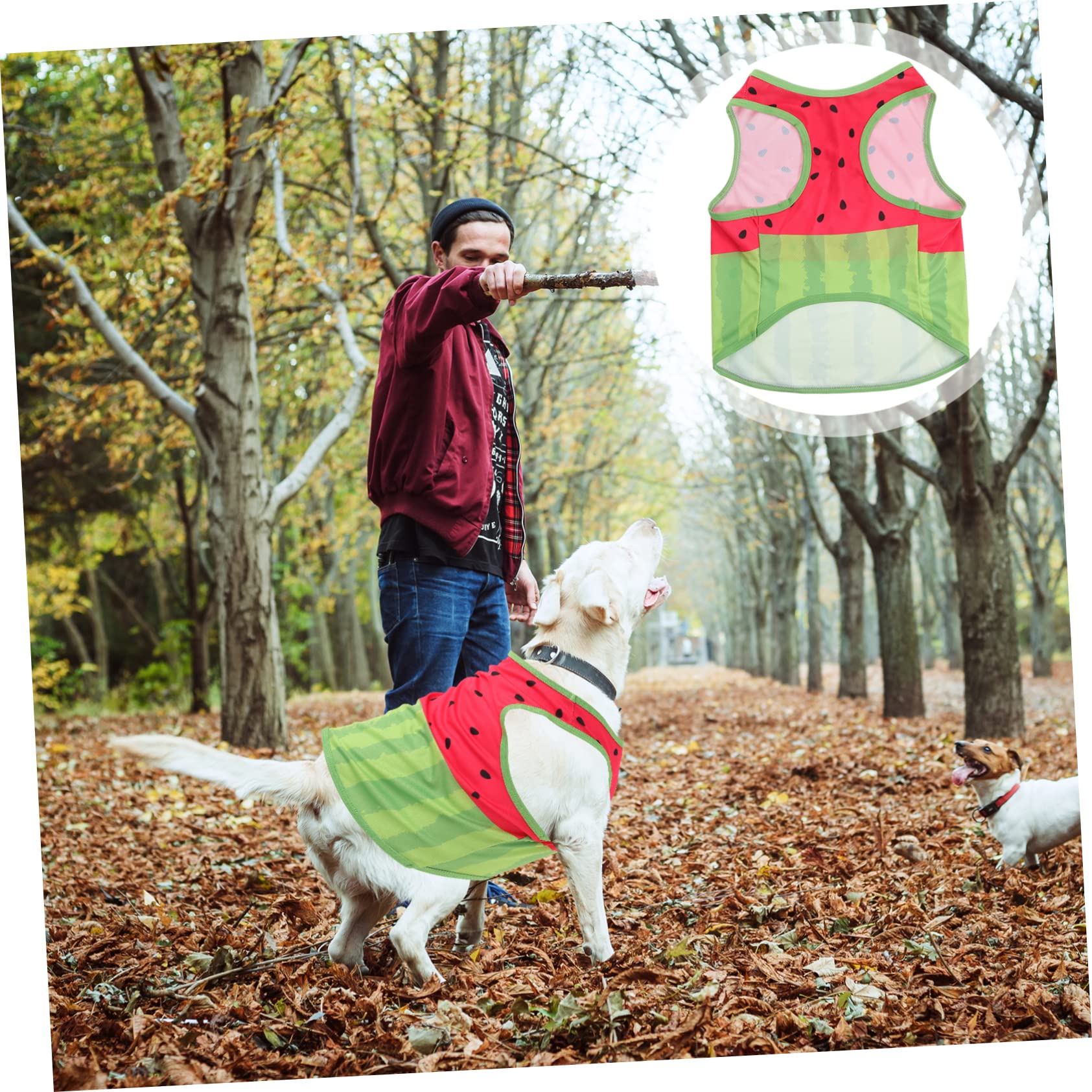 Gilet Rafraîchissant pour Chien Été, Taille L, Soie, Pastèque | Taille Xl, Design Adorable, pour Activités Extérieures, à Enfiler et Retirer Facilement