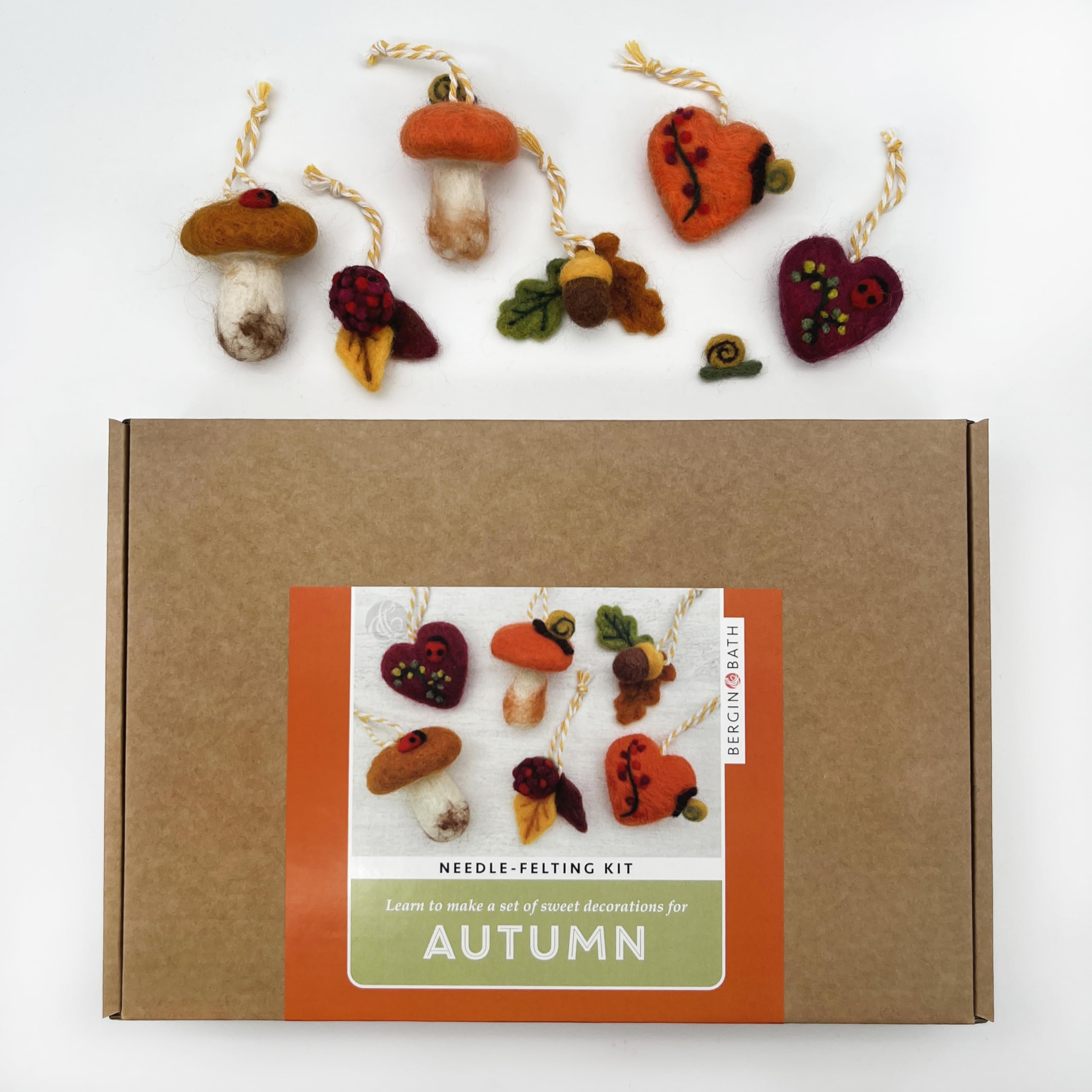 Bergin & Bath Needle Felting Kit - Autumn Decorations, Learn to Make a Set of Cute Autumnal Forest Delights for The Fall. Craft kit for Adults. Toadstools, Berries, Acorns, Leaves.