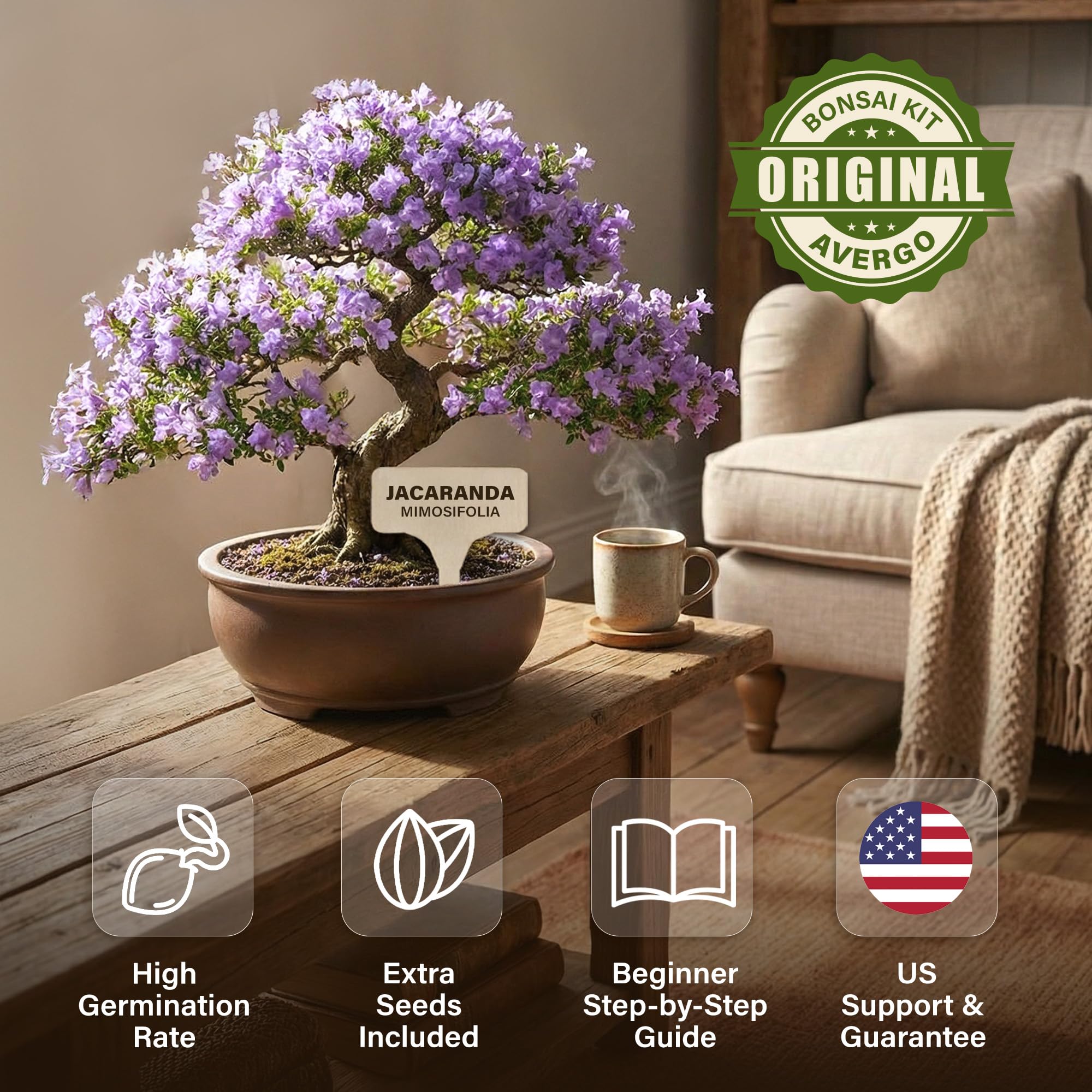 Bonsai - Kit de démarrage - Jacaranda bonzai à partir de graines | Kit complet d'arbre d'intérieur pour cultiver des plantes avec outils et pots de fleurs, cadeaux de jardinage pour