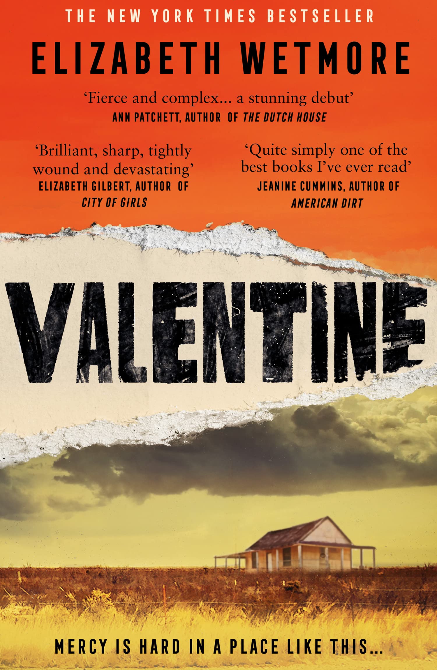 Valentine: A Stunning Debut and a New York Times Bestseller