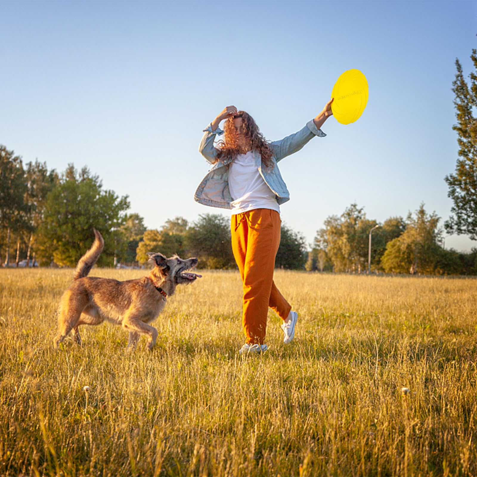 2 Frisbee In Gomma Per Cani - Giocattolo Durevole Da Esterno ø20cm - Foto 9
