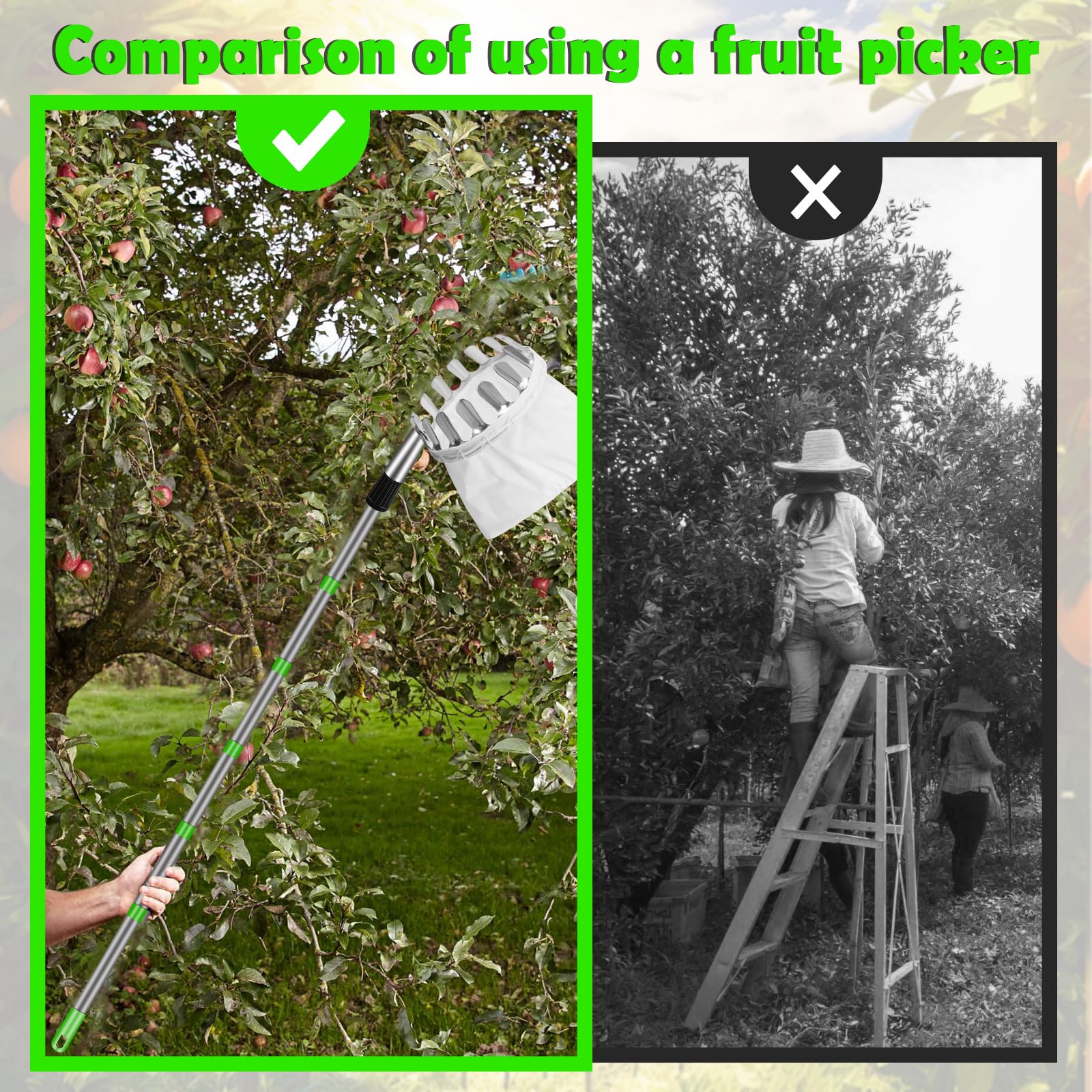 Raccogli frutta, 2,6 m, raccogli mele, aiuto per la raccolta di frutta, diametro 16 cm, manico telescopico in acciaio inox, lunghezza regolabile, facile da montare, adatto per raccogliere
