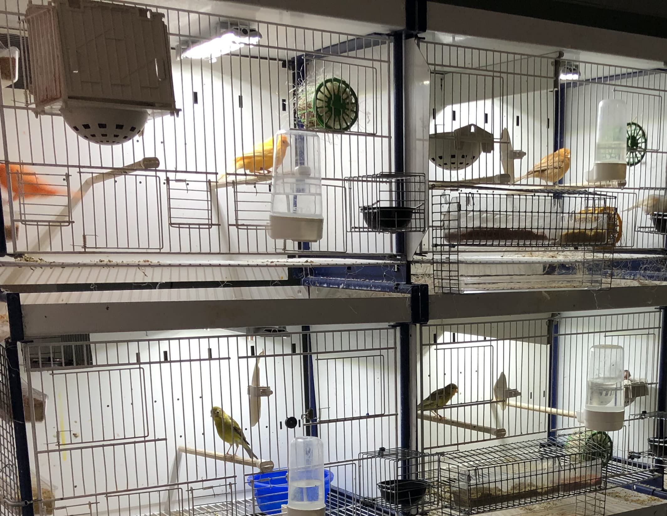 20,3 cm M&M Käfig-Lichtleiste ohne Netzteil für mehrere Vogelkäfige, Vollspektrum, nicht allein (x:li>