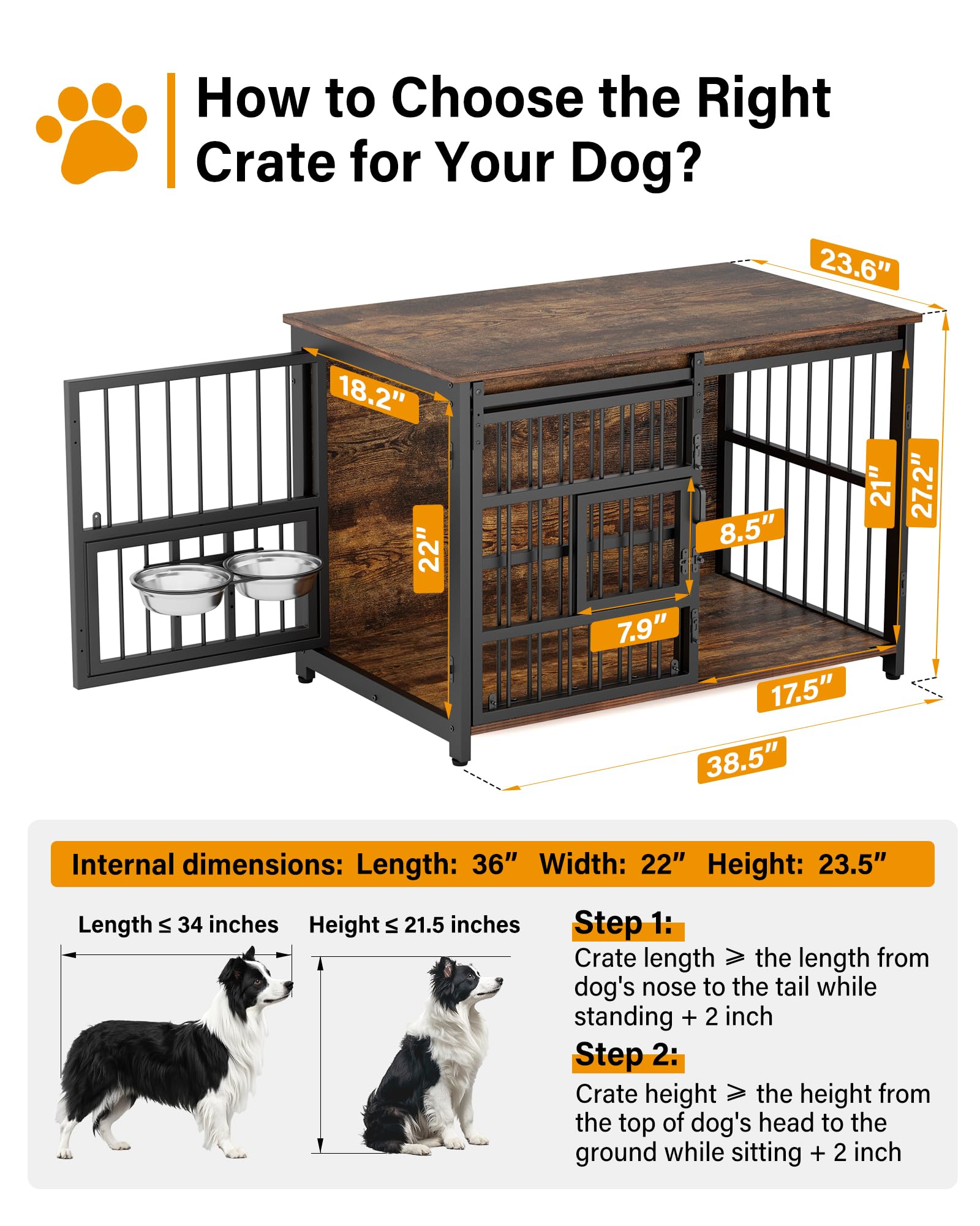https://m.media-amazon.com/images/I/81IZVGCrHkL.jpg