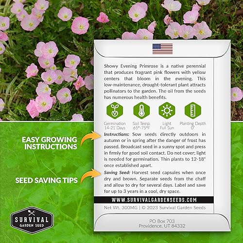 Miniatura 2 de Semillas de onagra llamativas para plantar, 1 paquete con instrucciones para plantar y cultivar Pinkladies en el jardín de flores de tu hogar,