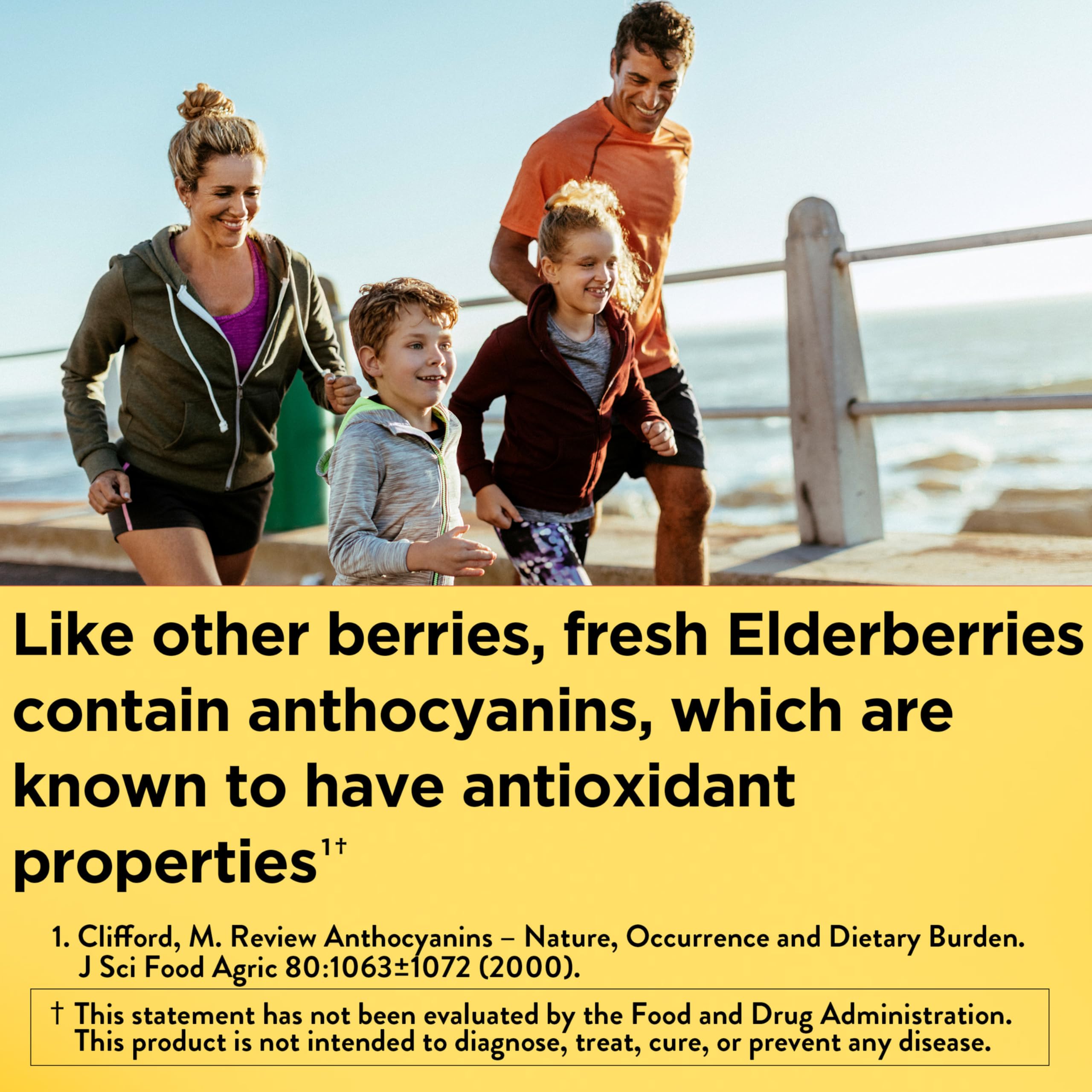 Nature Made Elderberry with Vitamin C and Zinc, 60 Capsules — Amazon image 2