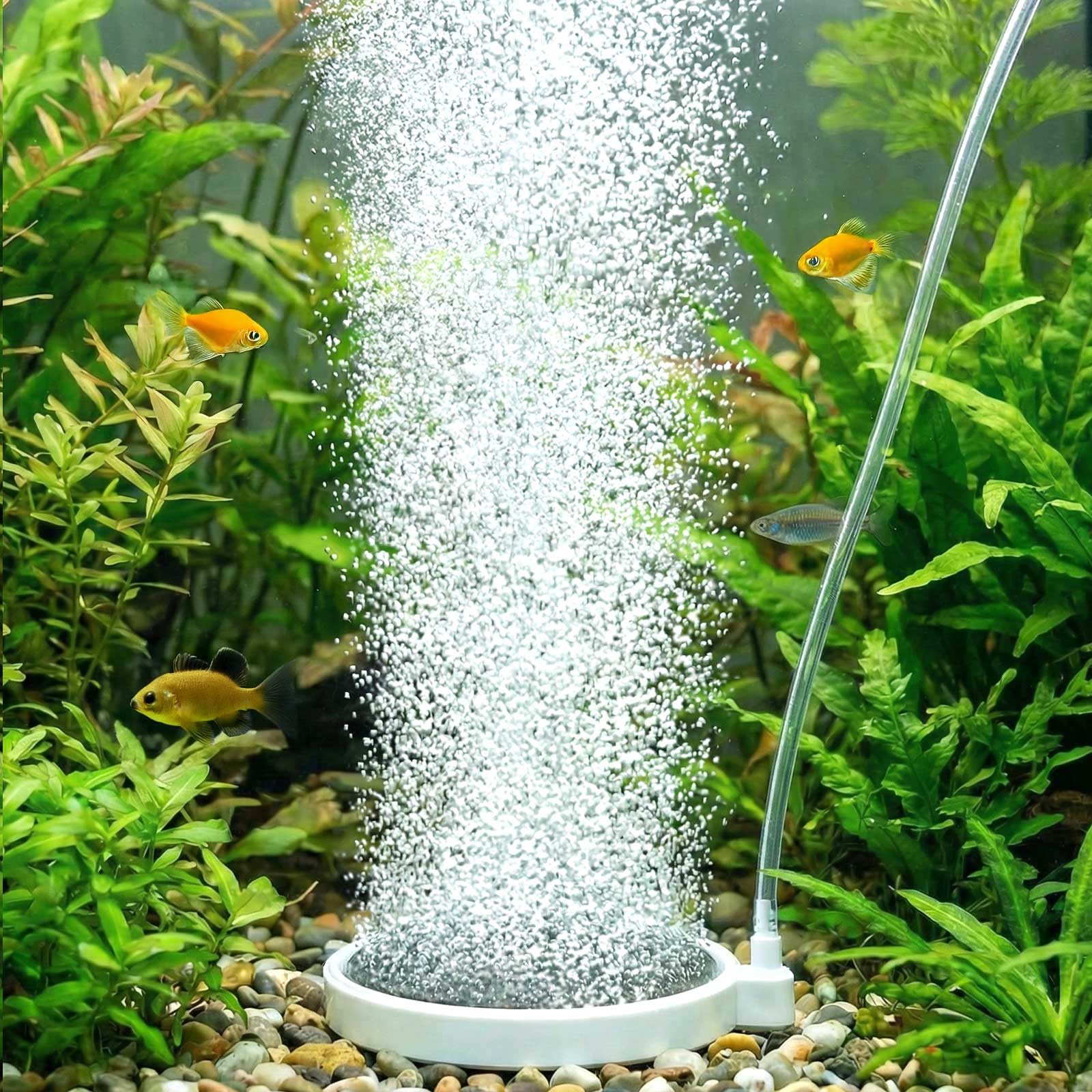 BLOTFISH Aquarium Bubbler Air Stone – 4 Inch Fish Tank Nano Quiet Dissolved Oxygen Diffuser Make Super Tiny Bubbles for 35-100 Gallon Aquarium Fish