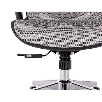 Amazon.com: Grey Ergonomic Mesh Office Chair, High Back