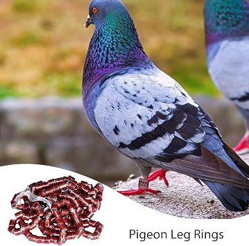 Bird Leg Bands 2025,2025 Pigeon Leg Rings | 50 Secure Dove Equipment Bands, Durable Universal Size Bright Colored Bird Paw Rings for Paijon Accessories Racing Parrot Chick Ducks