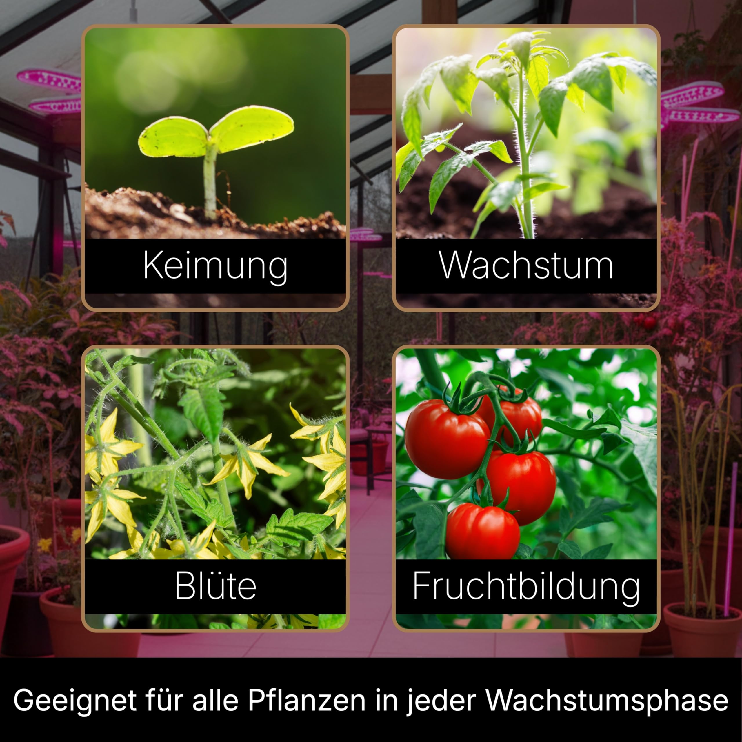Vollspektrum Pflanzenlampe LED, 275 PPFD, für Zimmerpflanzen