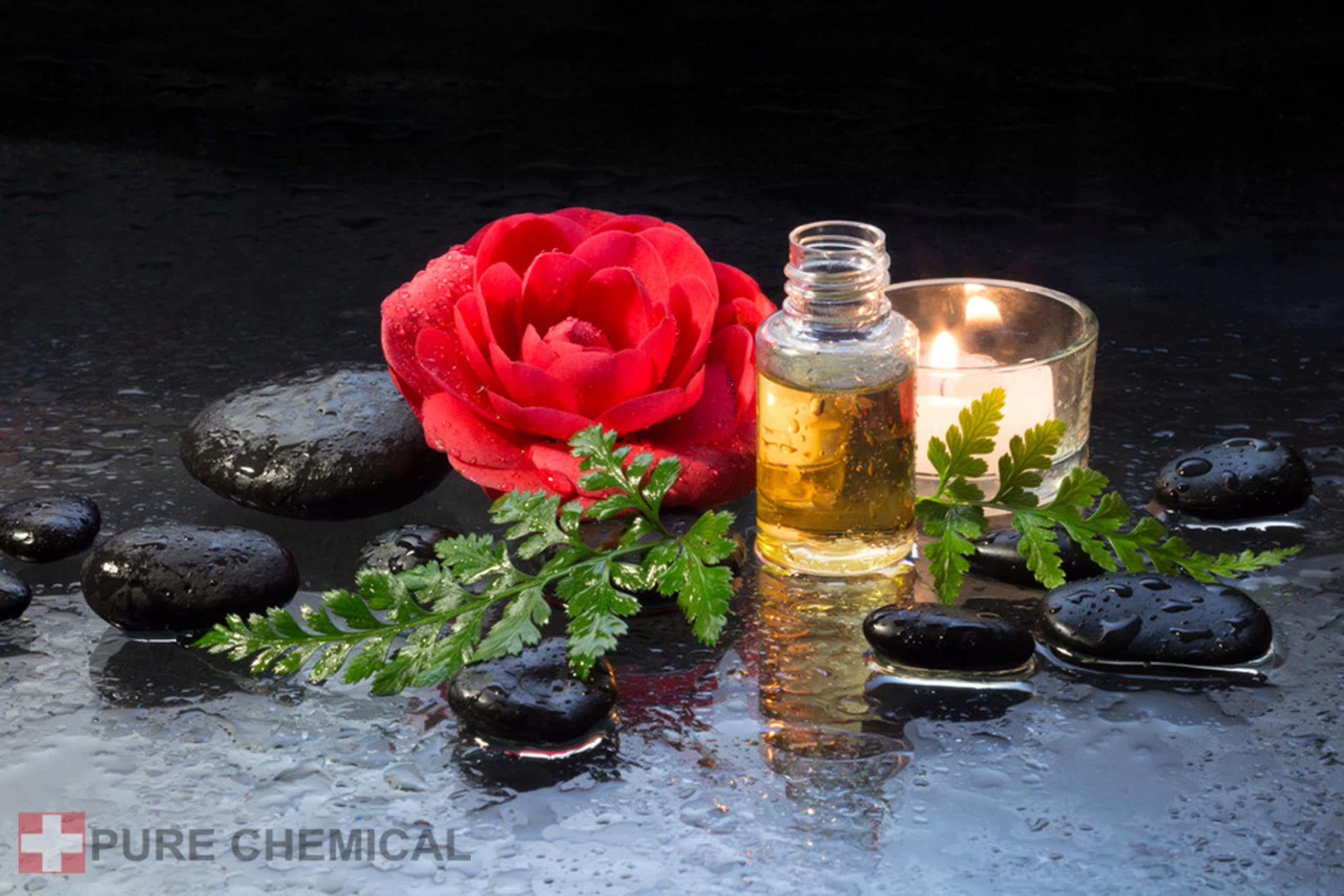 PURE CHEMICAL - Tsubaki Japoński Olej kameliowy 1L+Dozownik - Nierafinowany - Do twarzy włosów Oleje kosmetyczne - Olej kameliowy - Naturalny - Tłoczony na zimno (1L + dozownik)
