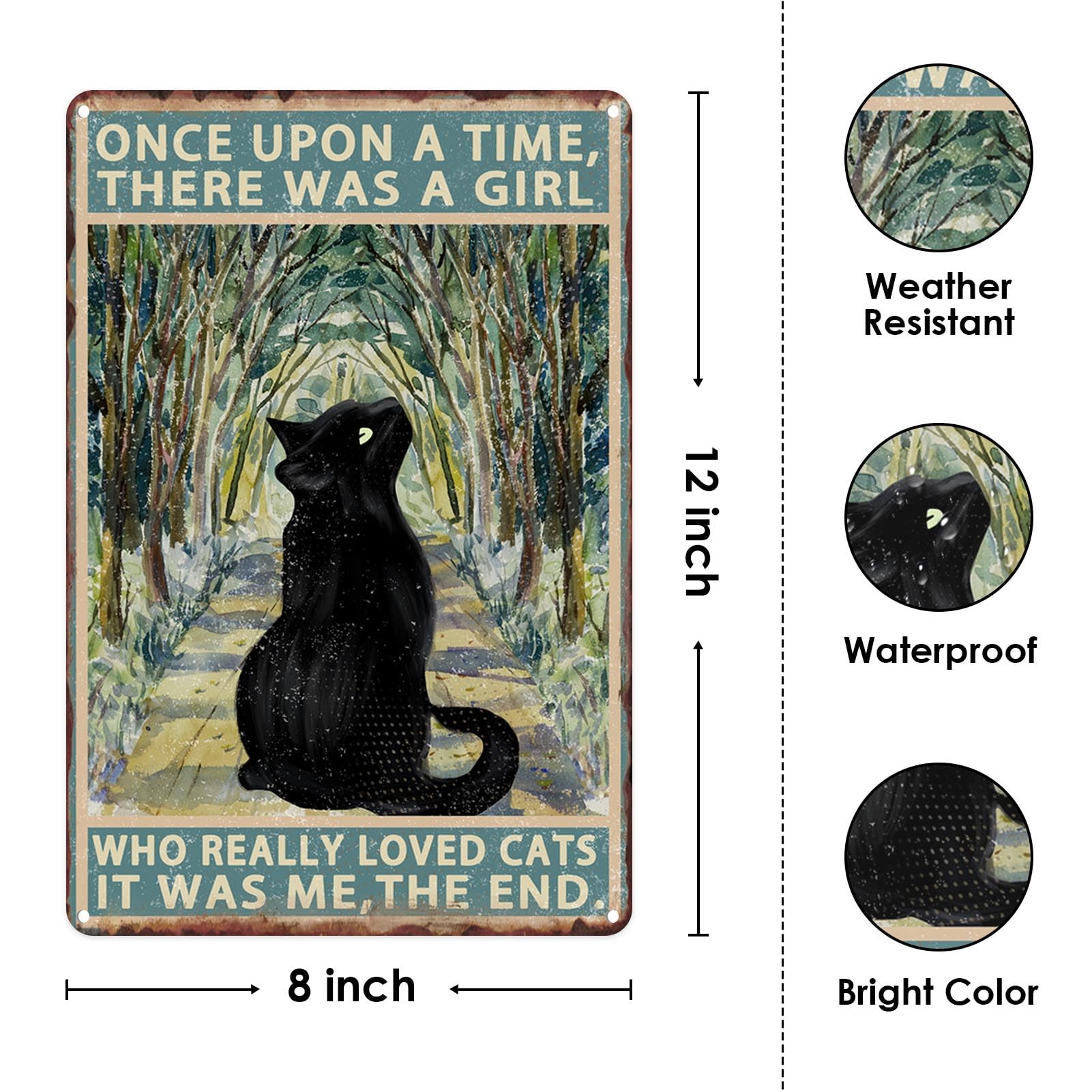 Amazon.co.jp: Black Cat メタルサイン Once Upon A Time There Was a