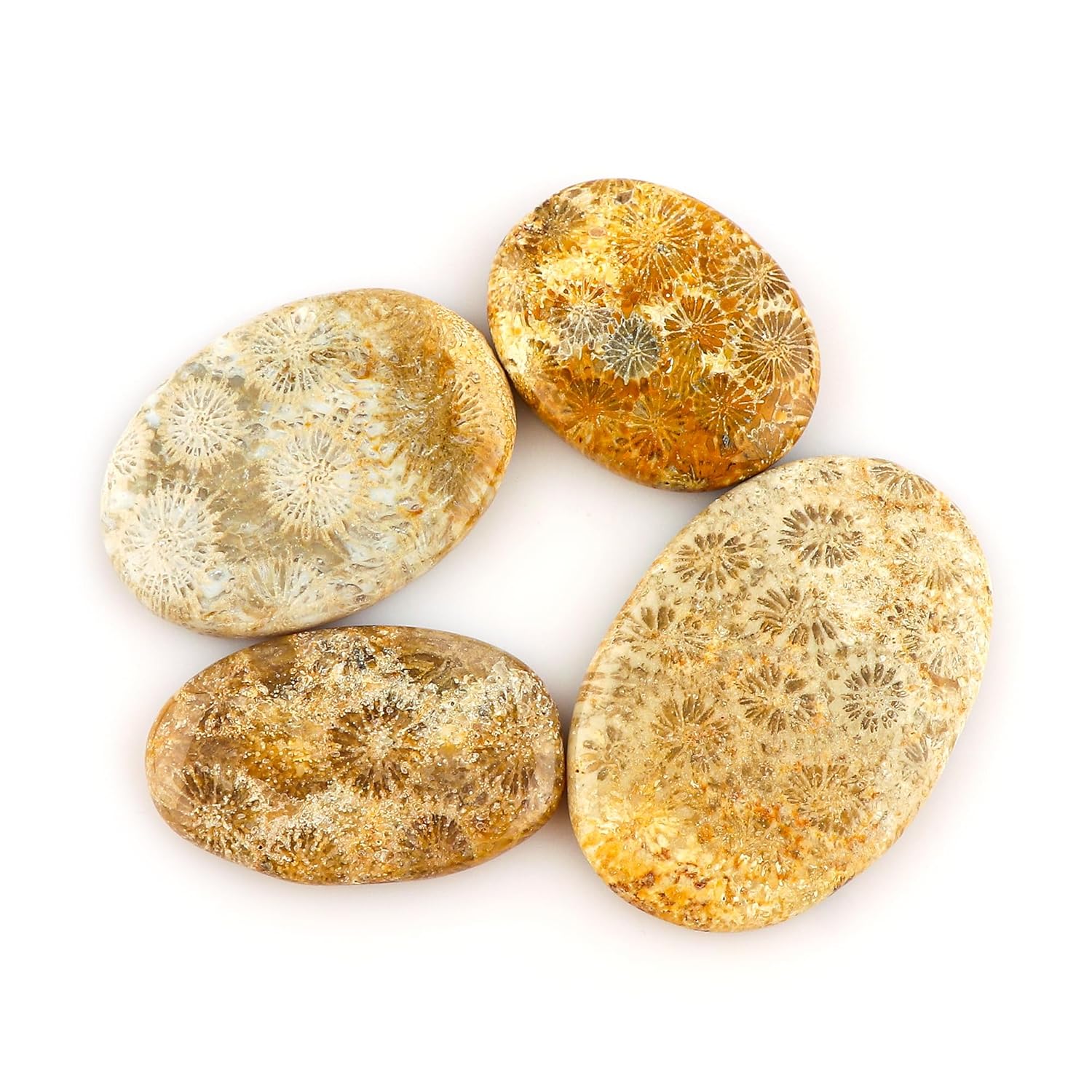 CRYSTALIS Wholesale 4pcs Natural Fossil-Coral Loose Gemstone Bulk Cabochons Jewelry Making Supply, Chakra Healing Polished Stones, Wire Wrapping, DIY, Gem Collection (25-40mm)
