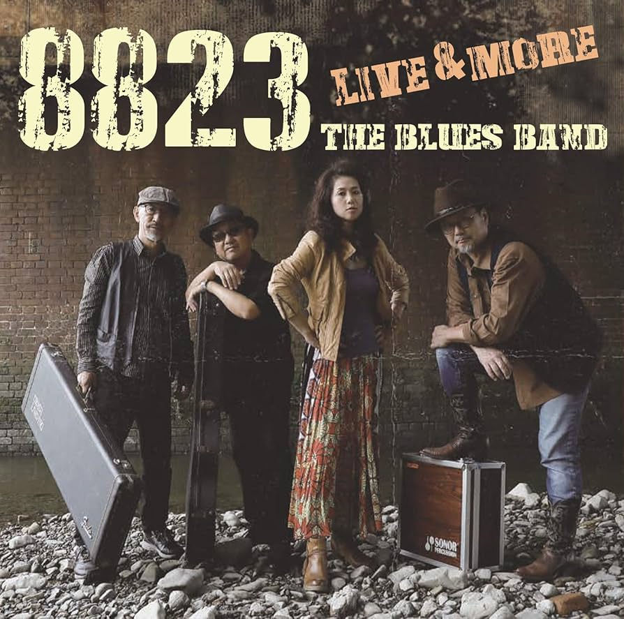 邦楽 BLUE TWINS LE GRAY LP BLUE TWINS LE GRAY LP