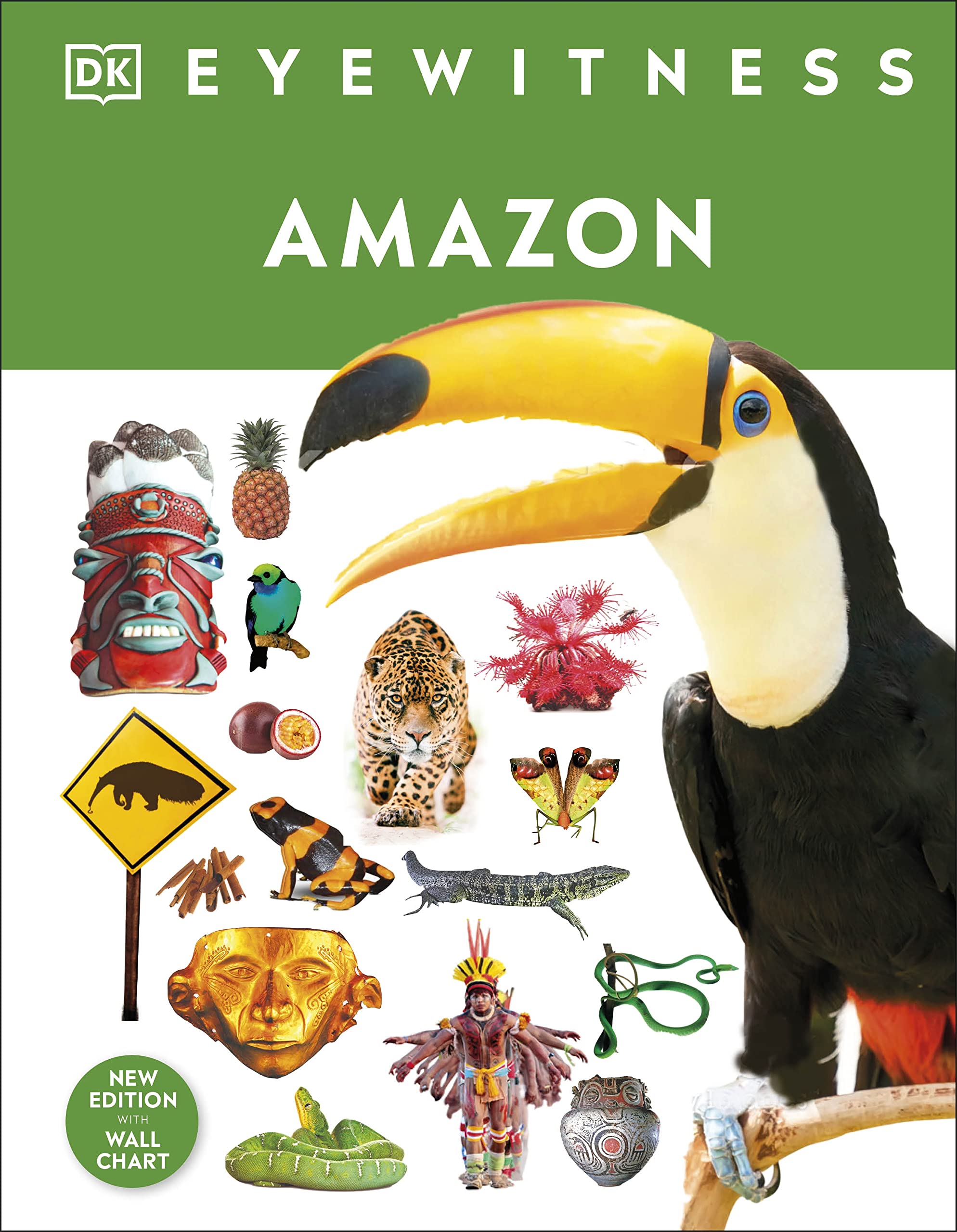 Amazon: DK Eyewitness