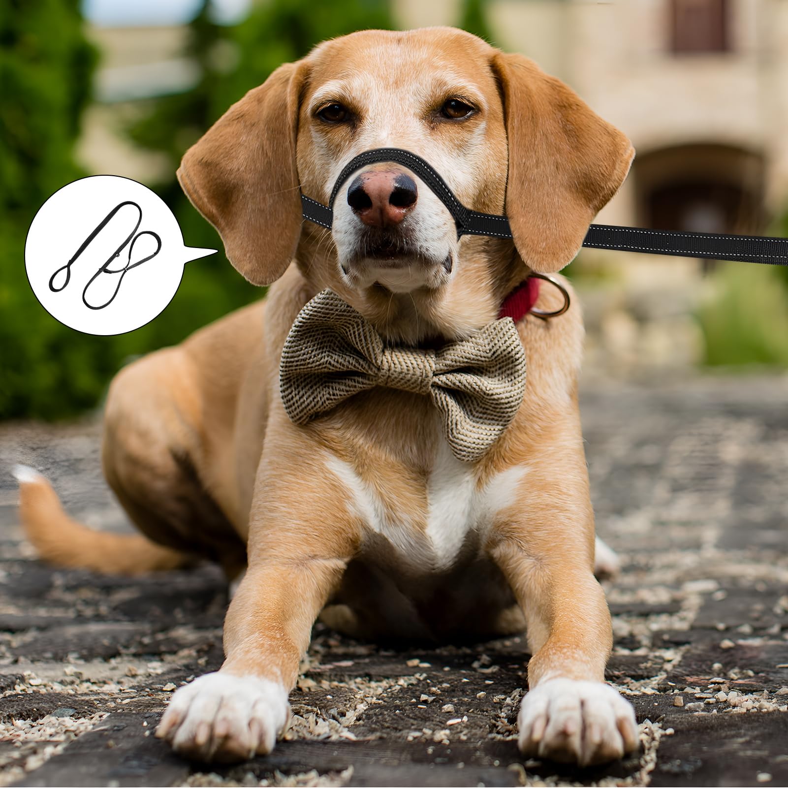 Guinzaglio Per Cani A Forma Di 8, 1 Guinzaglio Anti Trazione Con Manico Imbottito Ad Anello - Foto 4