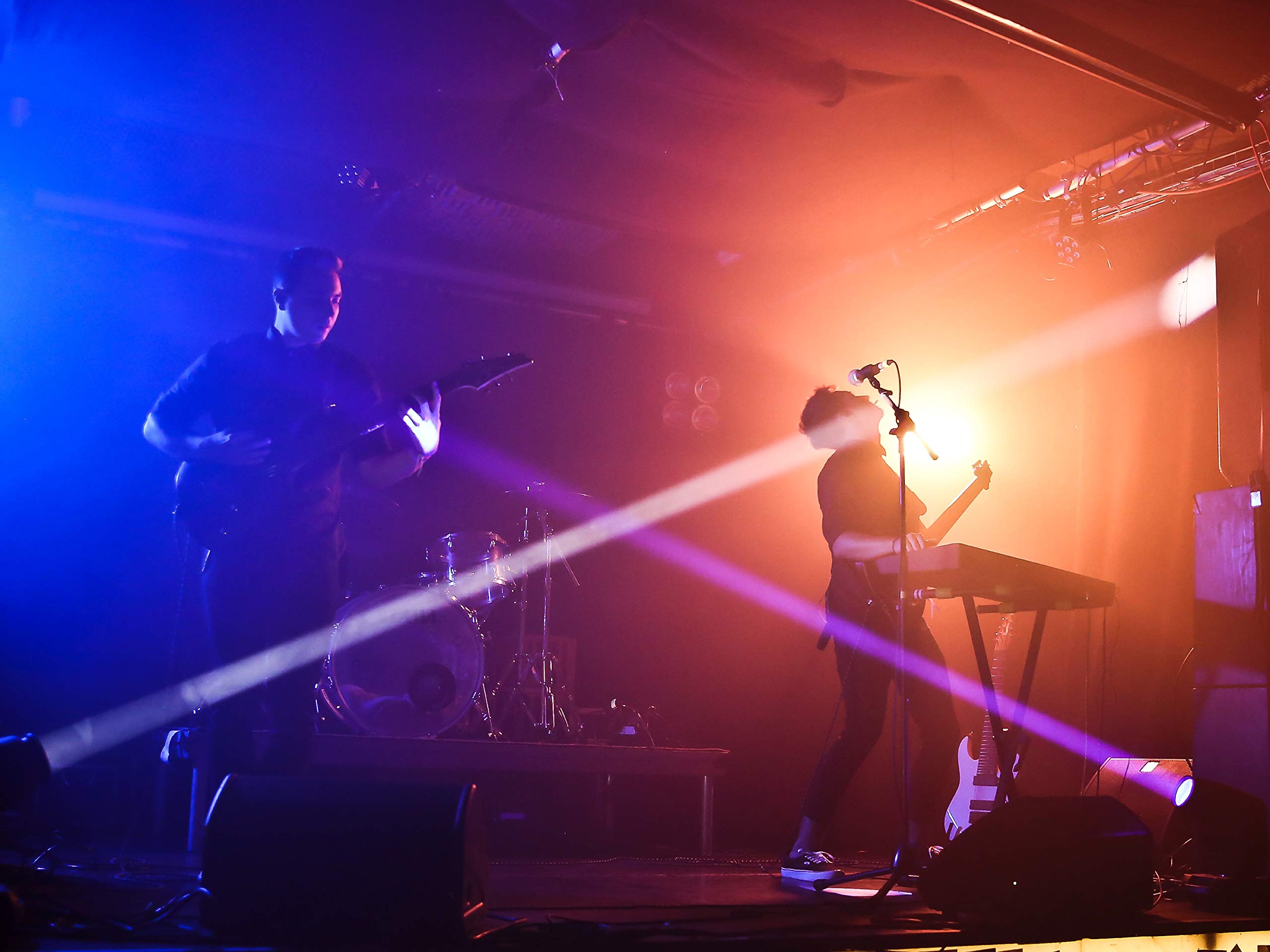 Their Dogs Were Astronauts