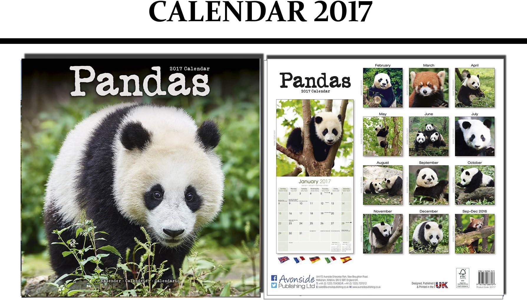 The Haunted Coast (Caedmon Storytellers)