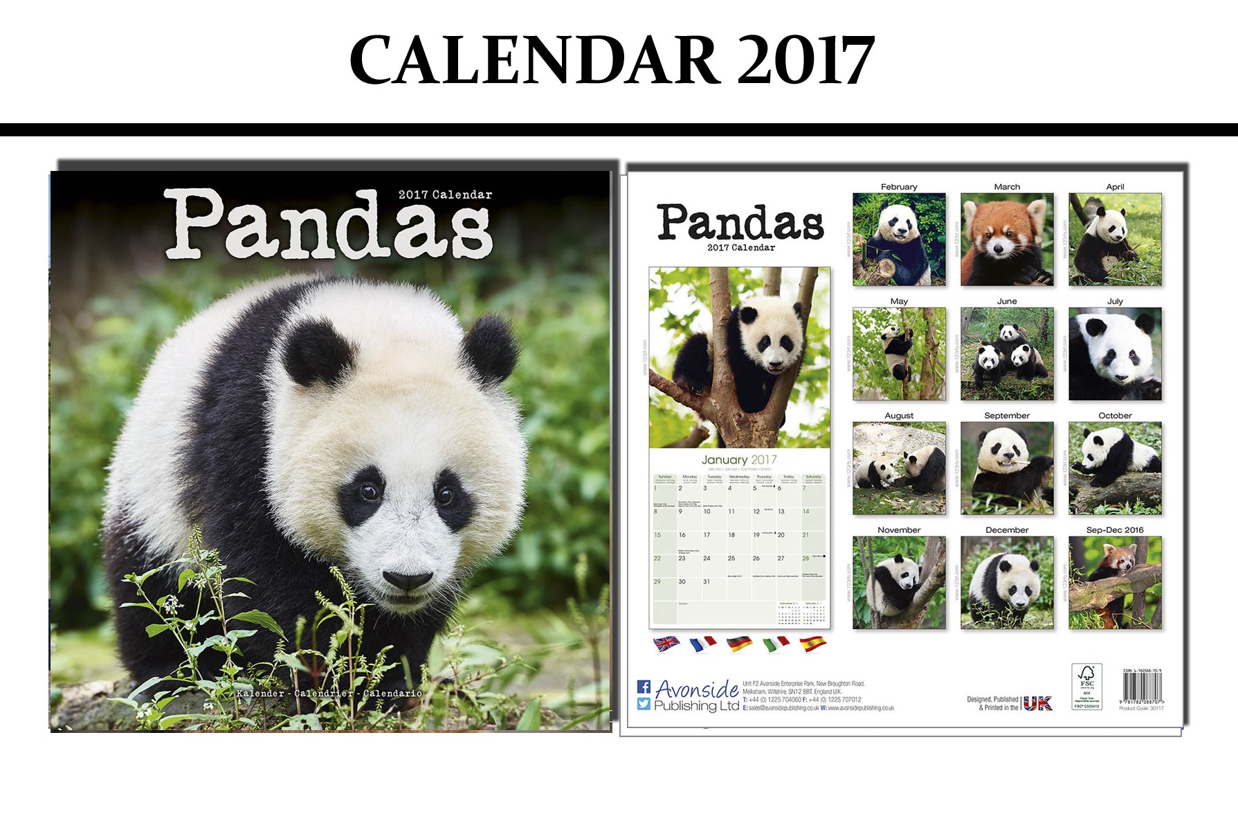 The Haunted Coast (Caedmon Storytellers)