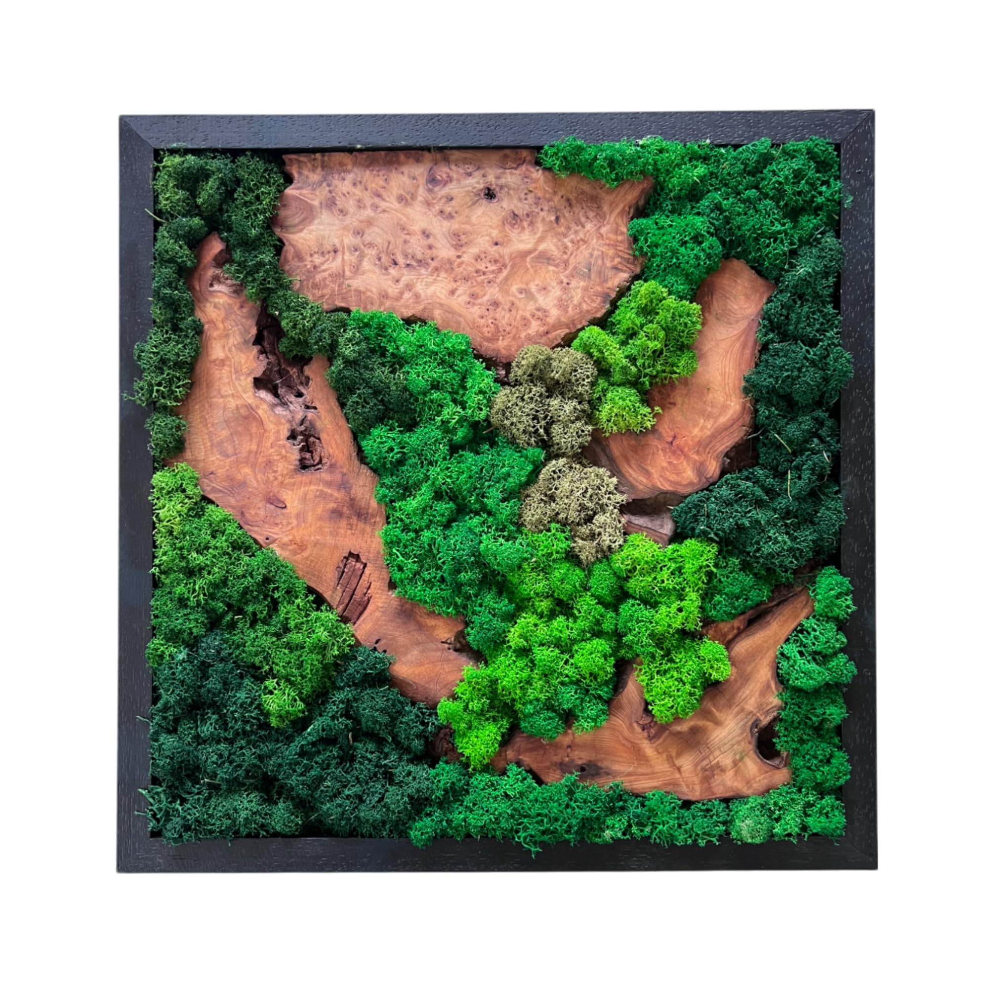 Evergreen Oasis Natural Cedar Wood & Preserved Moss Wall Art - Handcrafted 12x12x1 Inch Square Décor with Unique Patterns (1 Piece)