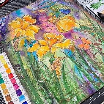 Amazon.co.jp: PHOENIX プロフェッショナル水彩絵具セット – 24