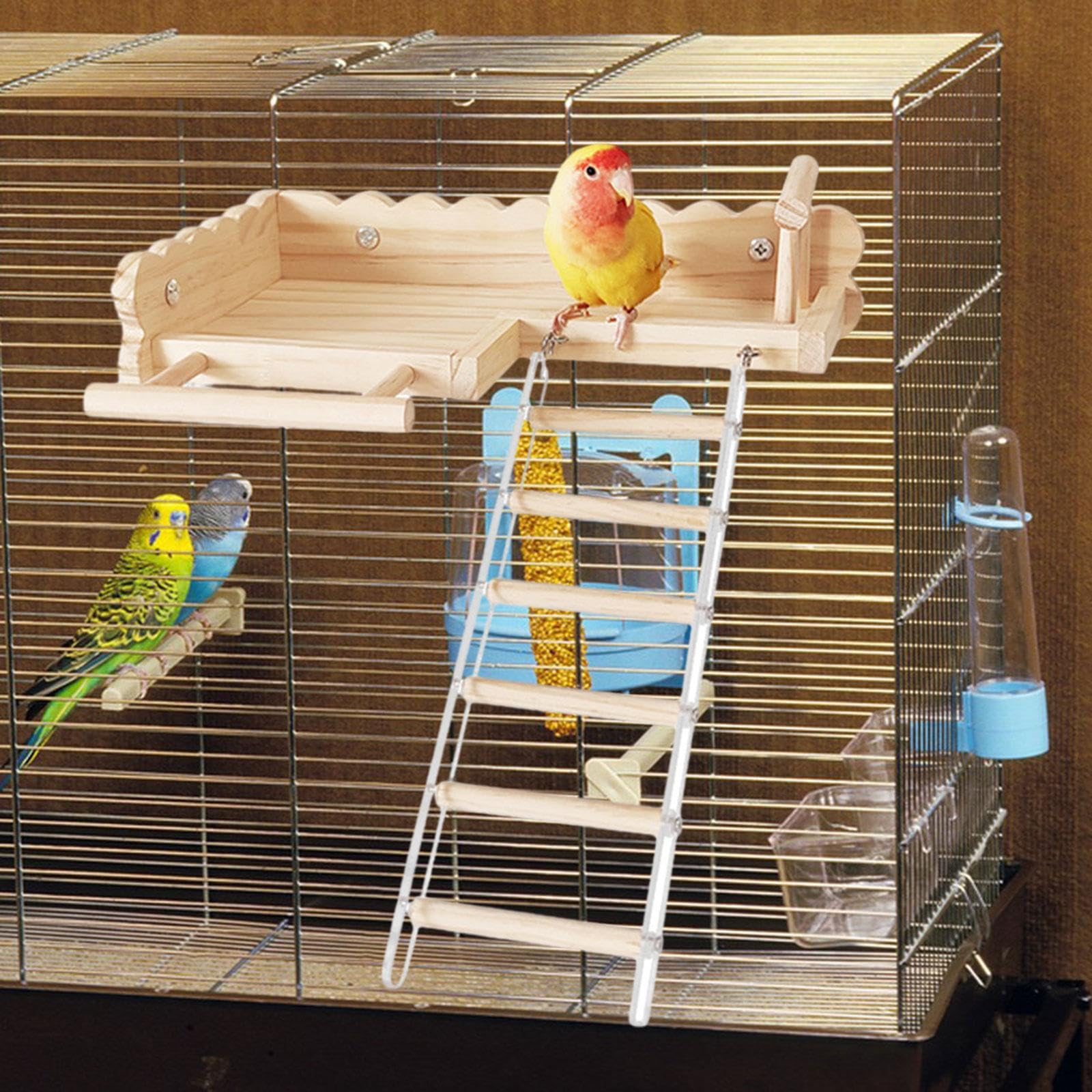 Baoblaze Vogelsitzplattform mit Leiter, Vogelkletterleiter aus Holz, Vogelkäfigständer, Spielzeug, Papageienständer für Wellensittiche, Sittiche,