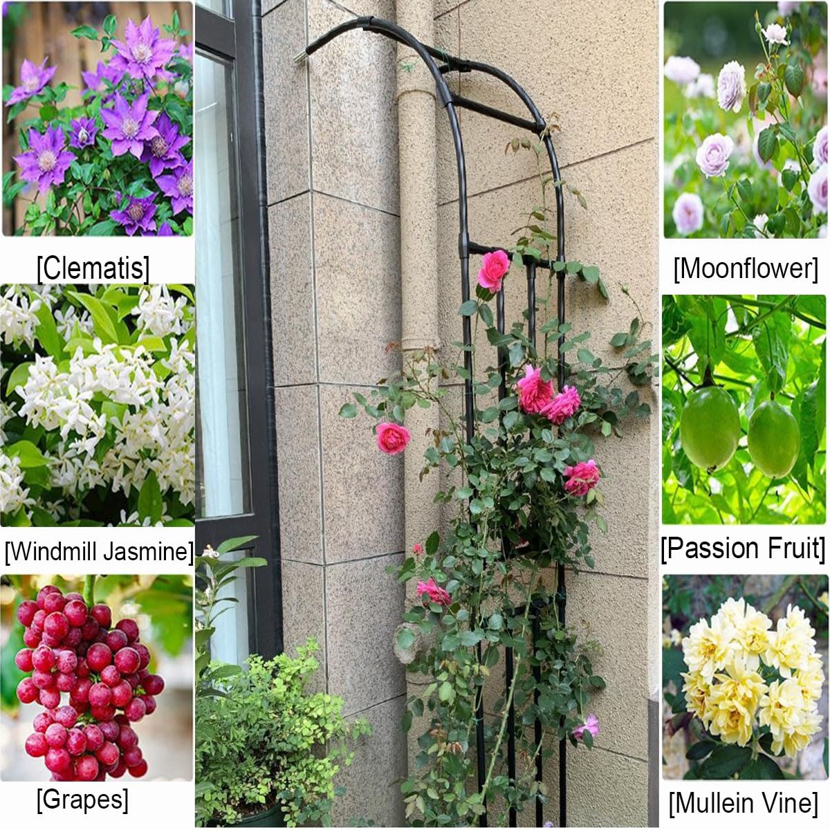 Arco da giardino regolabile in metallo bianco, 60-300 cm di larghezza x 240 cm di altezza, traliccio decorativo per piante rampicanti, pergolato semicircolare da parete, perfetto per giardini e