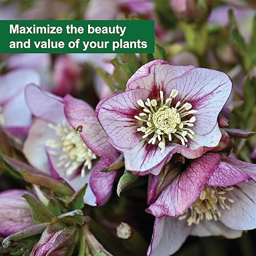 Miniatura 4 de Dyna-Gro DYMAG032 - Fertilizante (1 cuarto de galón), color blanco