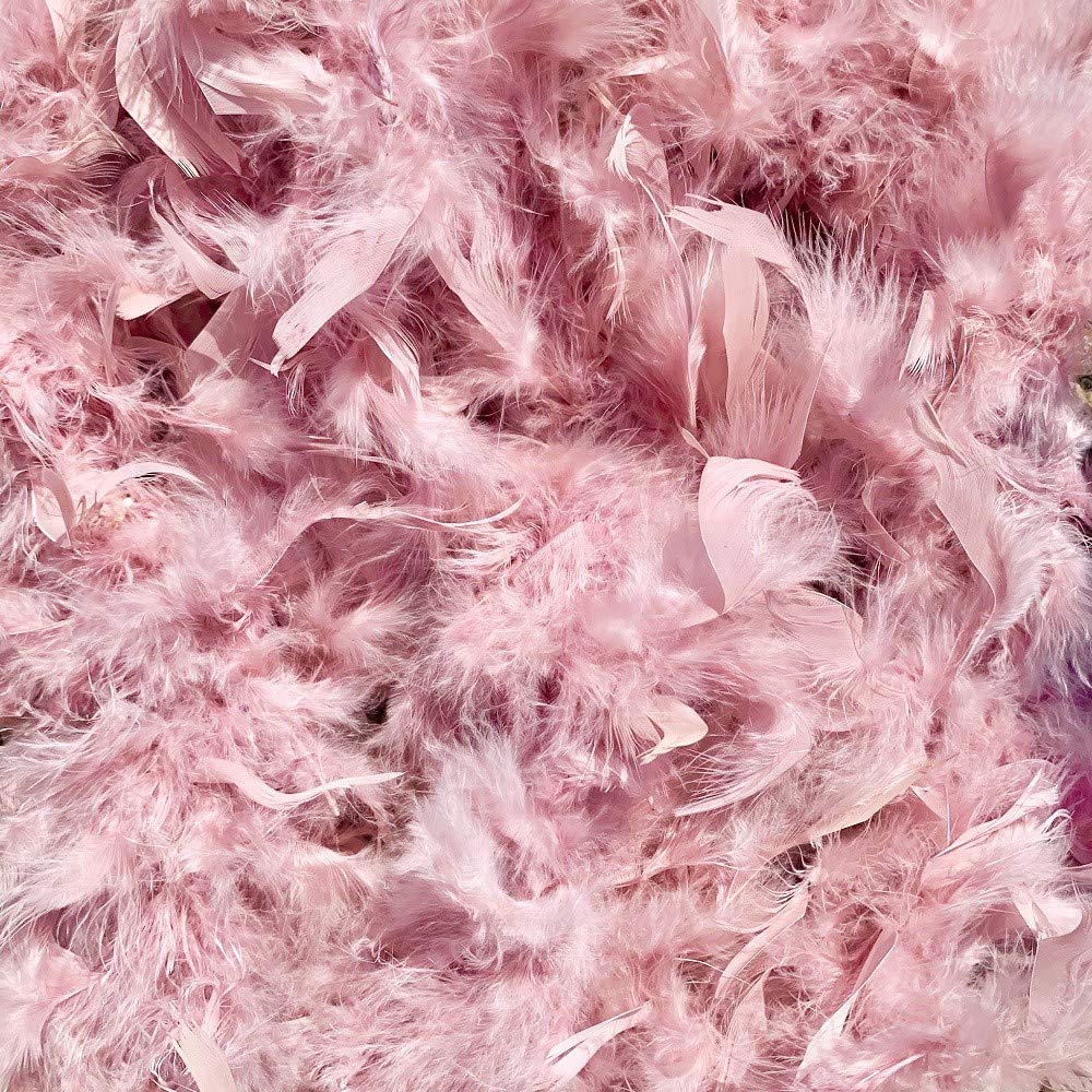 Cozy Glamour 6.5ft Feather Boas 50 Gram Weight Fabulously Fun, Stunningly Bright, Unbelievable Value, Great for Parties, Costumes, Crafts (Vintage Rose #70)