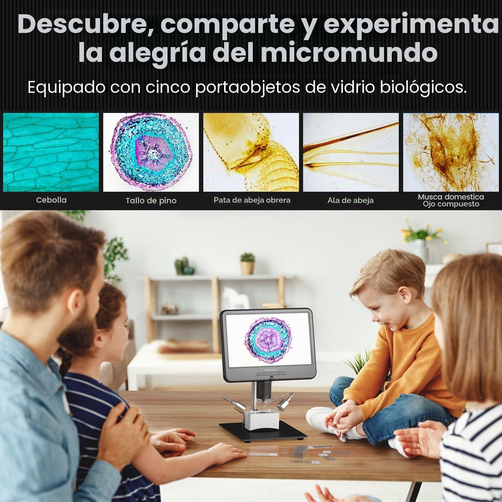 Andonstar AD210 Microscopio Digital LCD de 10.1 Pulgadas para soldar, microscopios de Monedas, Vista Completa para Monedas de Error con luz, microscopio electrónico de 10.1 Pulgadas