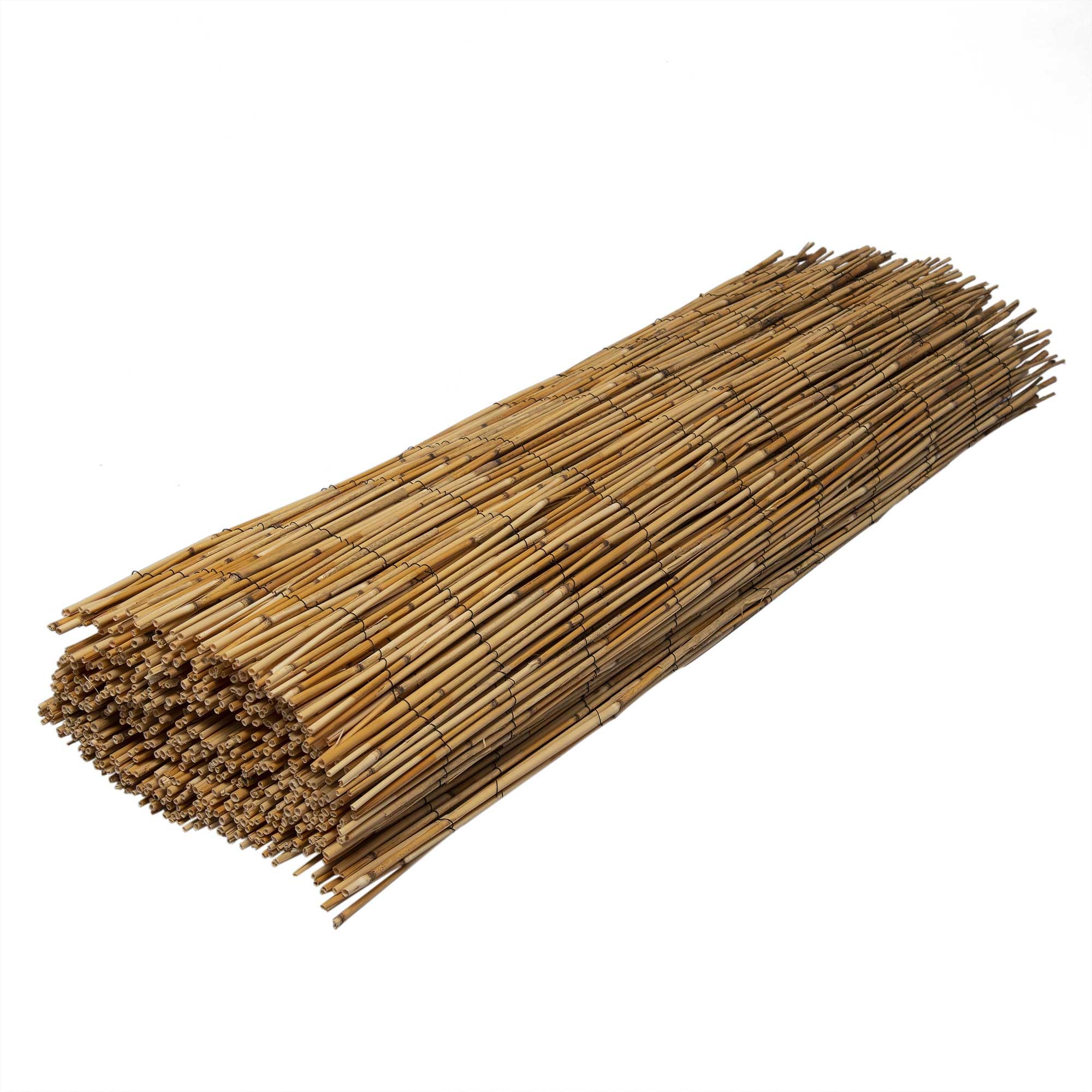 WERKA PRO Canisse en Roseau Naturel 2 x 5 m