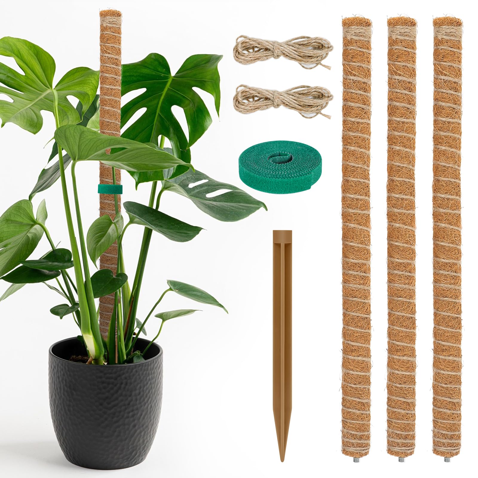 良品 MOSS STICK PT58 Amazon.com : TLAZZ 54 Inch Moss Pole, 3 Pack 16 Inch Moss Poles