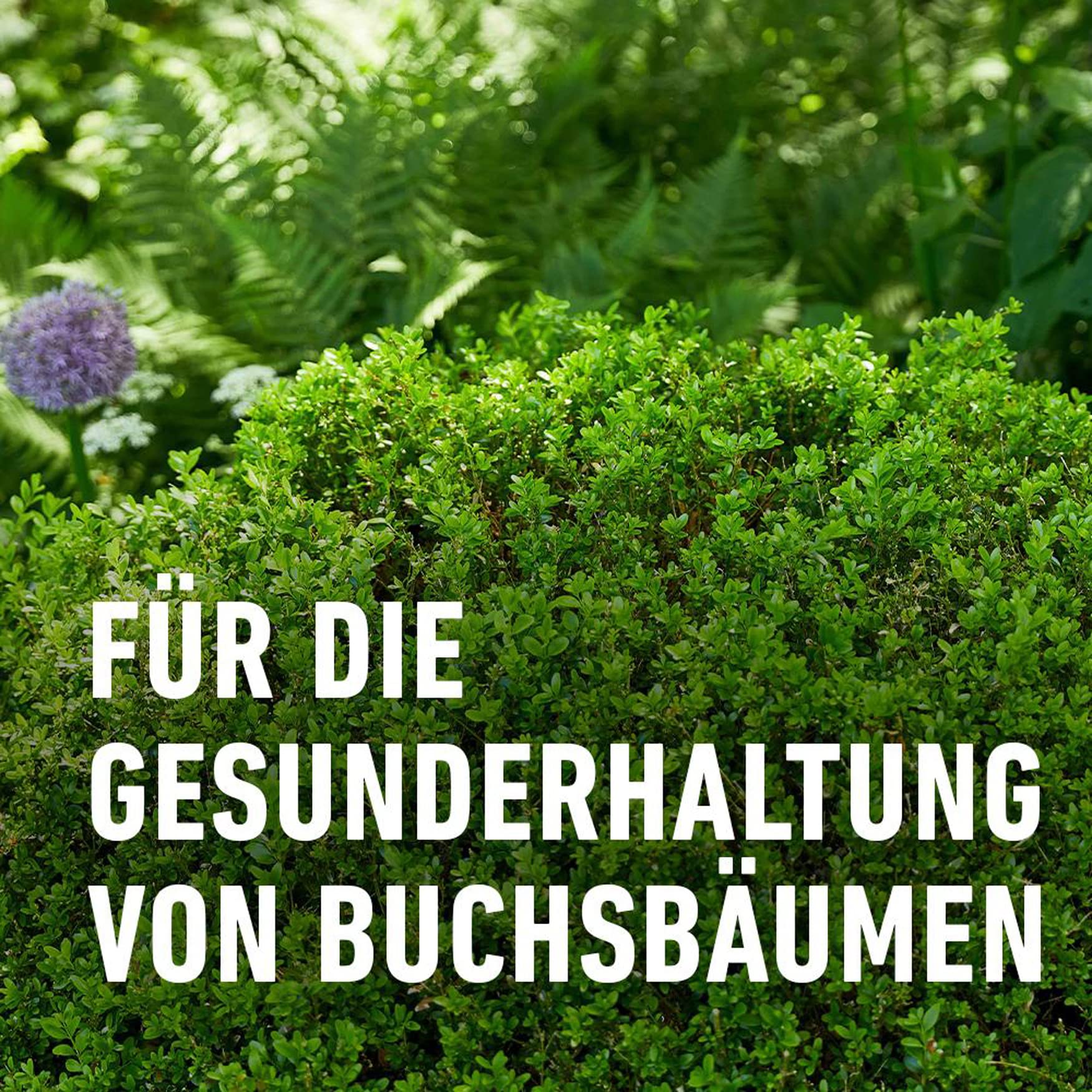 künstliche orchideen depot Künstliche Orchidee - Han main image 0