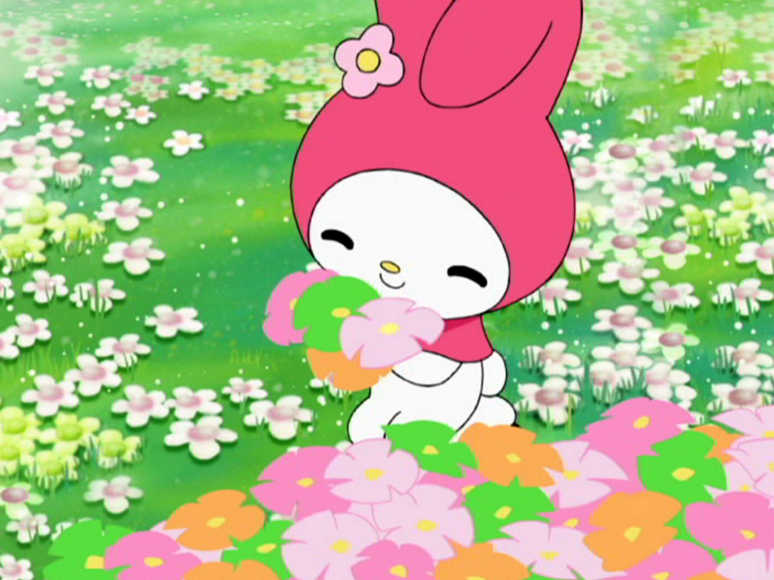 Amazon Co Jp おねがいマイメロディを観る Prime Video