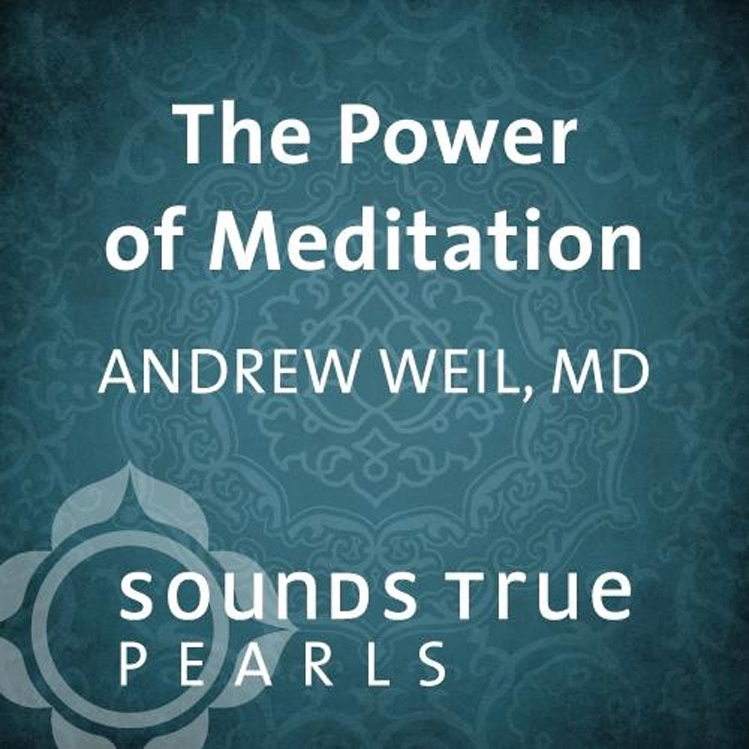 Cover art for The Power of Meditation