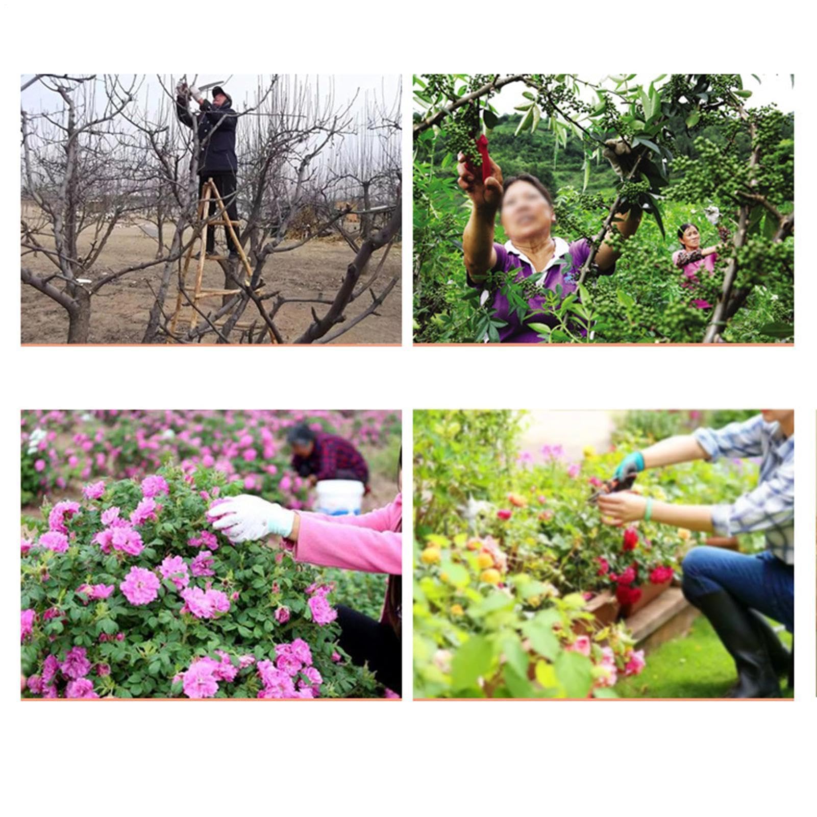 lyanny para Herramientas de Jardín,Organizador Multifuncional de Alta Resistencia | para Tijeras de podar y cortabonsáis | para Tijeras de Podar, Cortarramas, Tijeras de